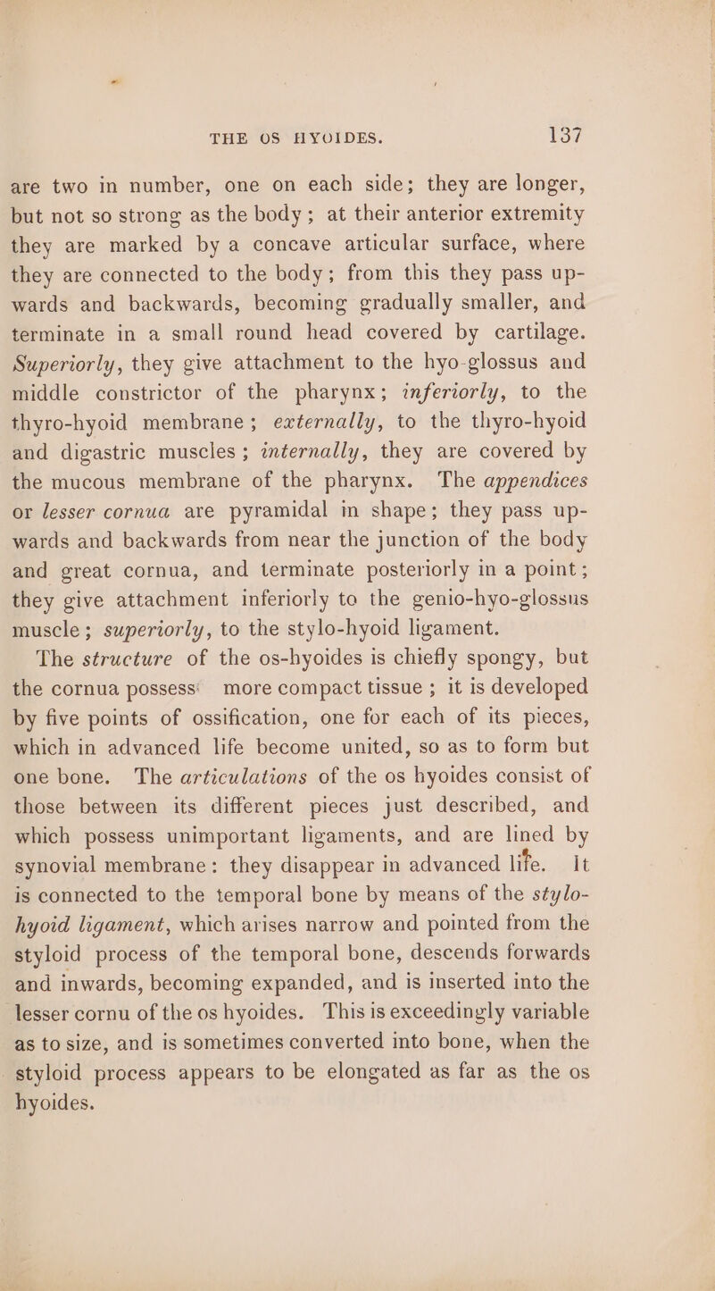 are two in number, one on each side; they are longer, but not so strong as the body; at their anterior extremity they are marked by a concave articular surface, where they are connected to the body; from this they pass up- wards and backwards, becoming gradually smaller, and terminate in a small round head covered by cartilage. Superiorly, they give attachment to the hyo-glossus and middle constrictor of the pharynx; inferiorly, to the thyro-hyoid membrane; externally, to the thyro-hyoid and digastric muscles ; internally, they are covered by the mucous membrane of the pharynx. The appendices or lesser cornua are pyramidal in shape; they pass up- wards and backwards from near the junction of the body and great cornua, and terminate posteriorly in a point; they give attachment inferiorly to the genio-hyo-glossus muscle ; superiorly, to the stylo-hyoid ligament. The structure of the os-hyoides is chiefly spongy, but the cornua possess' more compact tissue ; it is developed by five points of ossification, one for each of its pieces, which in advanced life become united, so as to form but one bone. The articulations of the os hyoides consist of those between its different pieces just described, and which possess unimportant ligaments, and are lined by synovial membrane: they disappear in advanced life. It is connected to the temporal bone by means of the stylo- hyoid ligament, which arises narrow and pointed from the styloid process of the temporal bone, descends forwards and inwards, becoming expanded, and is inserted into the lesser cornu of the os hyoides. This is exceedingly variable as to size, and is sometimes converted into bone, when the _styloid process appears to be elongated as far as the os hyoides.