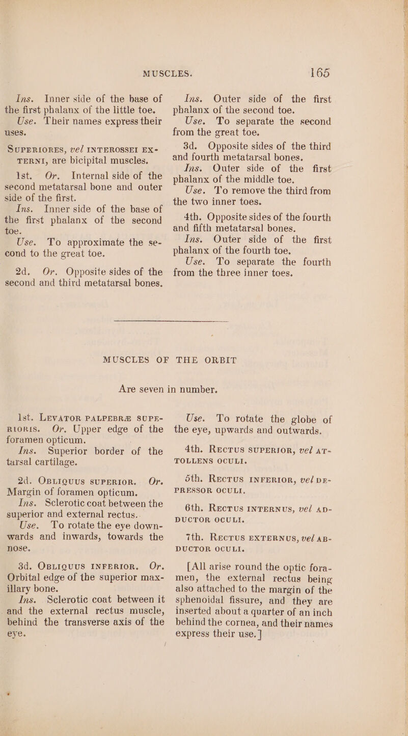 the first phalanx of the little toe. Use. Their names express their uses. SUPERIORES, ve/ INTEROSSEI EX- TERNI, are bicipital muscles. Ist. Or. Internal side of the second metatarsal bone and outer side of the first. Ins. Inner side of the base of the first phalanx of the second toe. Use. To approximate the se- cond to the great toe. 2d. Or. Opposite sides of the second and third metatarsal bones. phalanx of the second toe. Use. To separate the second from the great toe. 3d. Opposite sides of the third and fourth metatarsal bones. Ins. Outer side of the first phalanx of the middle toe. Use. To remove the third from the two inner toes. 4th. Opposite sides of the fourth and fifth metatarsal bones. Ins. Outer side of the first phalanx of the fourth toe. Use. To separate the fourth from the three inner toes. Ist. LEVATOR PALPEBRE SUPE- Rioris. Or, Upper edge of the foramen opticum. Ins. Superior border of the tarsal cartilage. 2d. OBLiguus suPERIOR. Or. Margin of foramen opticum. Ins. Sclerotic coat between the superior and external rectus.. Use. To rotate the eye down- wards and inwards, towards the nose. 3d. OsBLiguus INFERIOR. Or. Orbital edge of the superior max- illary bone. Ins. Sclerotic coat between it and the external rectus muscle, behind the transverse axis of the eye. Use. To rotate the globe of the eye, upwards and outwards. 4th. RecTus SUPERIOR, vel AT~ TOLLENS OCULI. oth. ReEcTUS INFERIOR, vel DE- PRESSOR OCULI, 6th. Recrus InTERNUS, vel AD- DUCTOR OCULI. ith. RecTus EXTERNUS, vel AB- DUCTOR OCULI. [All arise round the optic fora- men, the external rectus being also attached to the margin of the sphenoidal fissure, and they are inserted about a quarter of an inch behind the cornea, and their names express their use. ]