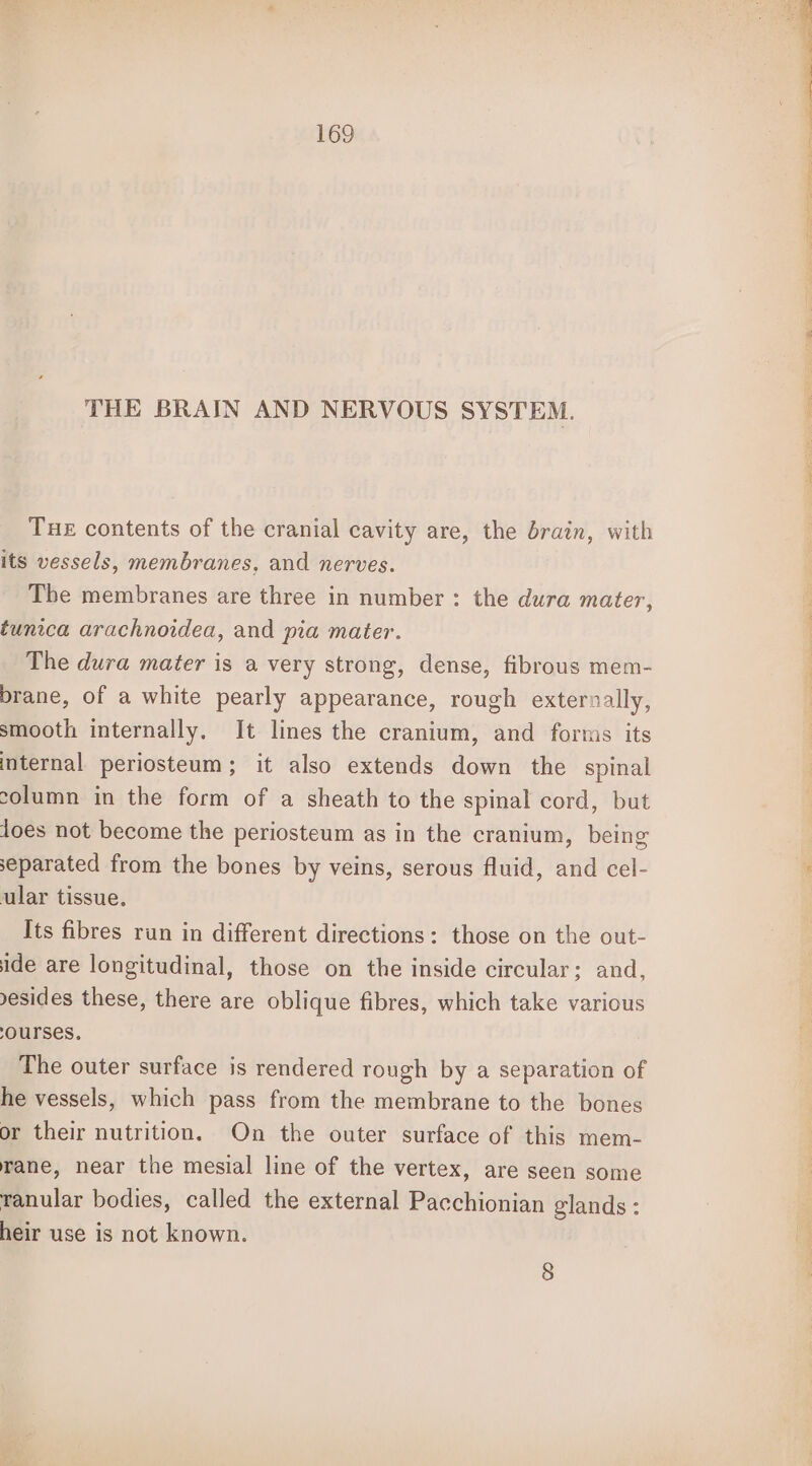 THE BRAIN AND NERVOUS SYSTEM. Tue contents of the cranial cavity are, the drain, with its vessels, membranes, and nerves. Tbe membranes are three in number: the dura mater, tunica arachnoidea, and pia mater. The dura mater is a very strong, dense, fibrous mem- brane, of a white pearly appearance, rough externally, smooth internally. It lines the cranium, and forms its internal periosteum; it also extends down the spinal column in the form of a sheath to the spinal cord, but loes not become the periosteum as in the cranium, being separated from the bones by veins, serous fluid, and cel- ular tissue. Its fibres run in different directions: those on the out- ide are longitudinal, those on the inside circular; and, yesides these, there are oblique fibres, which take various ourses, The outer surface is rendered rough by a separation of he vessels, which pass from the membrane to the bones or their nutrition. On the outer surface of this mem- rane, near the mesial line of the vertex, are seen some ranular bodies, called the external Pacchionian glands : heir use is not known. 8