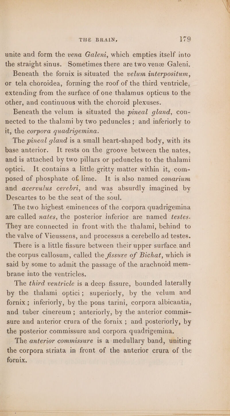 unite and form the vena Galeni, which empties itself into the straight sinus. Sometimes there are two venee Galeni., Beneath the fornix is situated the velum interpositum, or tela choroidea, forming the roof of the third ventricle, extending from the surface of one thalamus opticus to the other, and continuous with the choroid plexuses. Beneath the velum is situated the pineal gland, con- nected to the thalami by two peduncles ; and inferiorly to it, the corpora quadrigemina. The pineal gland is a small heart-shaped body, with its base anterior. It rests on the groove between the nates, and is attached by two pillars or peduncles to the thalami optici. It contains a little gritty matter within it, com- posed of phosphate of, lime. It is also named conarium and acervulus cerebri, and was absurdly imagined by Descartes to be the seat of the soul. The two highest eminences of the corpora quadrigemina are called nates, the posterior inferior are named testes. They are connected in front-with the thalami, behind to the valve of Vieussens, and processus a cerebello ad testes. There is a little fissure between their upper surface. and the corpus callosum, called the fissure of Bichat, which is said by some to admit the passage of the arachnoid mem- brane into the ventricles, The third ventricle is a deep fissure, bounded laterally by the thalami optici; superiorly, by the velum and fornix; inferiorly, by the pons tarini, corpora albicantia, and tuber cinereum; anteriorly, by the anterior commis- sure and anterior crura of the fornix ; and posteriorly, by the posterior commissure and corpora quadrigemina. The anterior commissure is a medullary band, uniting the corpora striata in front of the anterior crura of the fornix.