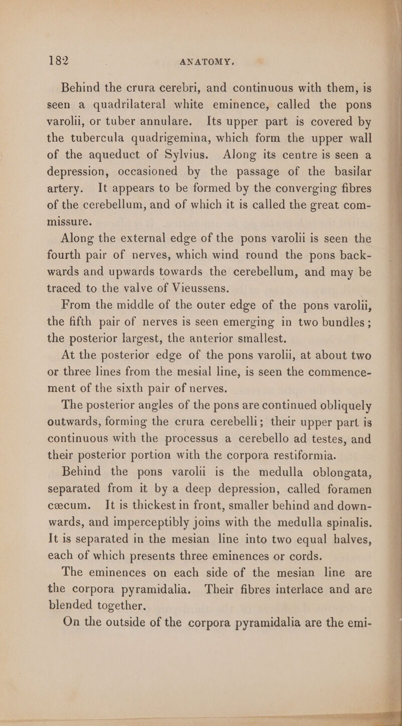 Behind the crura cerebri, and continuous with them, is seen a quadrilateral white eminence, called the pons varolii, or tuber annulare. Its upper part is covered by the tubercula quadrigemina, which form the upper wall of the aqueduct of Sylvius. Along its centre is seen a depression, occasioned by the passage of the basilar artery. It appears to be formed by the converging fibres of the cerebellum, and of which it is called the great com- missure. Along the external edge of the pons varolii is seen the fourth pair of nerves, which wind round the pons back- wards and upwards towards the cerebellum, and may be traced to the valve of Vieussens. | From the middle of the outer edge of the pons varolii, the fifth pair of nerves is seen emerging in two bundles; the posterior largest, the anterior smallest. At the posterior edge of the pons varolii, at about two or three lines from the mesial line, is seen the commence- ment of the sixth pair of nerves. The posterior angles of the pons are continued obliquely outwards, forming the crura cerebelli; their upper part is continuous with the processus a cerebello ad testes, and their posterior portion with the corpora restiformia. Behind the pons varolii is the medulla oblongata, separated from it by a deep depression, called foramen cecum. It is thickest in front, smaller behind and down- wards, and imperceptibly joms with the medulla spinalis. It is separated in the mesian line into two equal halves, each of which presents three eminences or cords. The eminences on each side of the mesian line are the corpora pyramidalia, Their fibres interlace and are blended together. On the outside of the corpora pyramidalia are the emi-