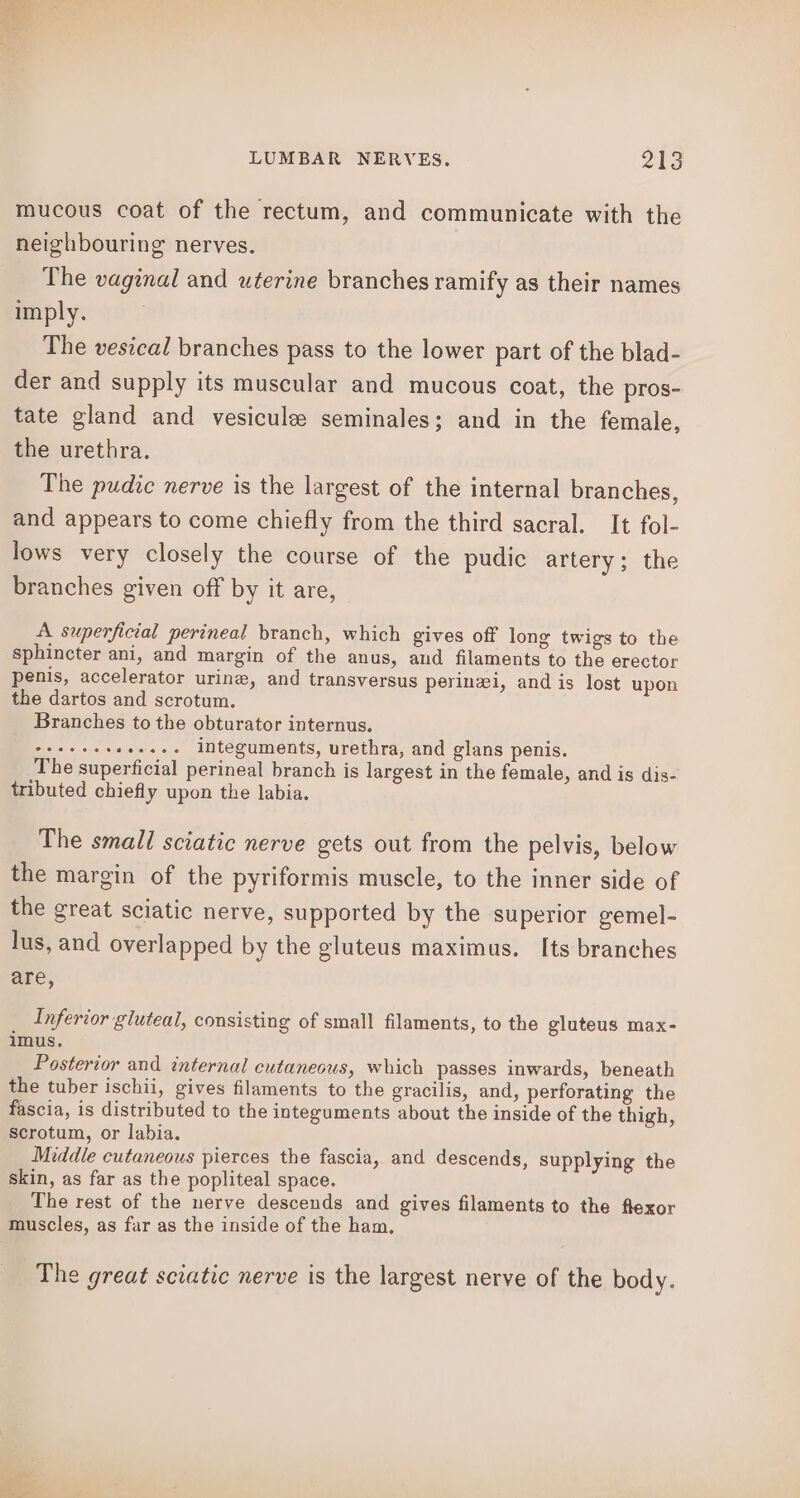 mucous coat of the rectum, and communicate with the neighbouring nerves. The vaginal and uterine branches ramify as their names imply. The vesical branches pass to the lower part of the blad- der and supply its muscular and mucous coat, the pros- tate gland and vesicule seminales; and in the female, the urethra. The pudic nerve is the largest of the internal branches, and appears to come chiefly from the third sacral. It fol- lows very closely the course of the pudic artery; the branches given off by it are, A superficial perineal branch, which gives off long twigs to the sphincter ani, and margin of the anus, and filaments to the erector penis, accelerator urine, and transversus perinzi, and is lost upon the dartos and scrotum. Branches to the obturator internus. ER SE ee integuments, urethra, and glans penis. The superficial perineal branch is largest in the female, and is dis- tributed chiefly upon the labia. The small sciatic nerve gets out from the pelvis, below the margin of the pytiformis muscle, to the inner side of the great sciatic nerve, supported by the superior gemel- lus, and overlapped by the gluteus maximus. Its branches are, Inferior gluteal, consisting of small filaments, to the gluteus max- imus. Posterior and internal cutaneous, which passes inwards, beneath the tuber ischii, gives filaments to the gracilis, and, perforating the fascia, is distributed to the integuments about the inside of the thigh, Scrotum, or labia. Middle cutaneous pierces the fascia, and descends, supplying the skin, as far as the popliteal space. The rest of the nerve descends and gives filaments to the flexor muscles, as far as the inside of the ham, The great sciatic nerve is the largest nerve of the body.