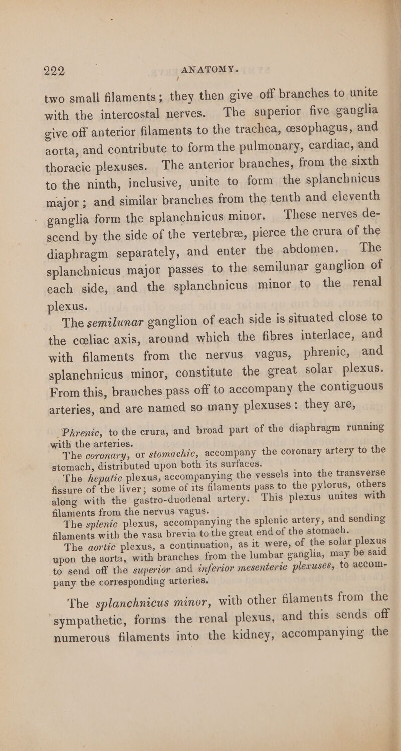 two small filaments; they then give off branches to unite with the intercostal nerves. The superior five ganglia give off anterior filaments to the trachea, oesophagus, and aorta, and contribute to form the pulmonary, cardiac, and thoracic plexuses. The anterior branches, from the sixth to the ninth, inclusive, unite to form the splanchnicus major; and similar branches from the tenth and eleventh ganglia form the splanchnicus minor. These nerves de- scend by the side of the vertebree, pierce the crura of the diaphragm separately, and enter the abdomen. The each side, and the splanchnicus minor to the renal plexus. The semilunar ganglion of each side is situated close to the ceeliac axis, around which the fibres interlace, and with filaments from the nervus vagus, phrenic, and splanchnicus minor, constitute the great solar plexus. From this, branches pass off to accompany the contiguous arteries, and are named so many plexuses: they are, ‘Phrenic, to the crura, and broad part of the diaphragm running with the arteries. The coronary, or stomachic, accompany the coronary artery to the stomach, distributed upon both its surfaces. The hepatic plexus, accompanying the vessels into the transverse fissure of the liver; some of its filaments pass to the pylorus, others along with the gastro-duodenal artery. This plexus unites with filaments from the nervus vagus. The splenic plexus, accompanying the splenic artery, and sending filaments with the vasa brevia to the great end of the stomach. The aortic plexus, a continuation, as it were, of the solar plexus upon the aorta, with branches from the lumbar ganglia, may be said to send off the supertor and inferior mesenterte plexuses, to accom- pany the corresponding arteries, The splanchnicus minor, with other filaments from the ‘sympathetic, forms the renal plexus, and this sends off numerous filaments into the kidney, accompanying the