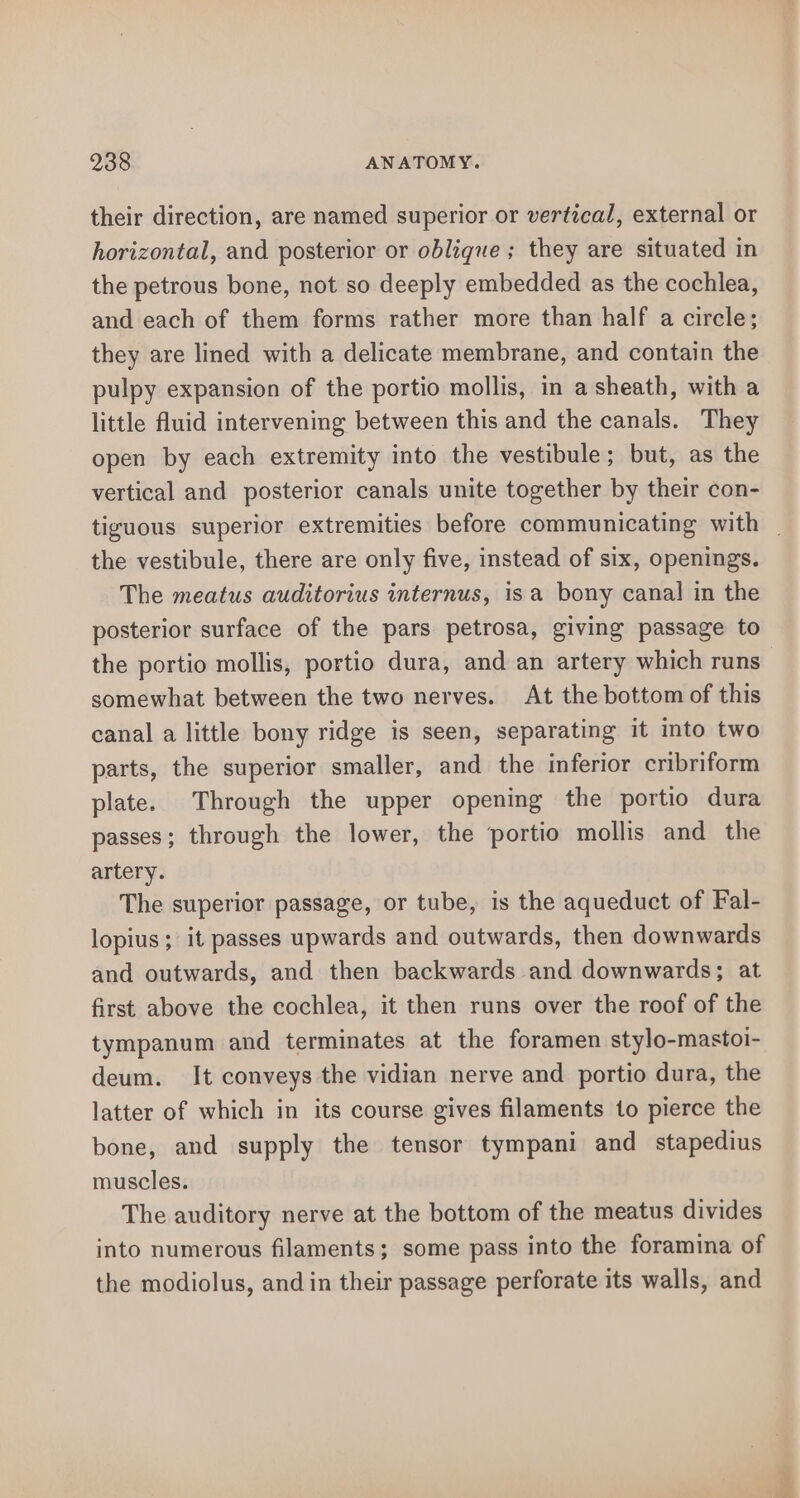 their direction, are named superior or vertical, external or horizontal, and posterior or oblique; they are situated in the petrous bone, not so deeply embedded as the cochlea, and each of them forms rather more than half a circle; they are lined with a delicate membrane, and contain the pulpy expansion of the portio mollis, in a sheath, with a little fluid intervening between this and the canals. They open by each extremity into the vestibule; but, as the vertical and posterior canals unite together by their con- tiguous superior extremities before communicating with _ the vestibule, there are only five, instead of six, openings. The meatus auditorius internus, isa bony canal in the posterior surface of the pars petrosa, giving passage to the portio mollis, portio dura, and an artery which runs somewhat between the two nerves. At the bottom of this canal a little bony ridge is seen, separating it into two parts, the superior smaller, and the inferior cribriform plate. Through the upper opening the portio dura passes; through the lower, the ‘portio mollis and the artery. The superior passage, or tube, is the aqueduct of Fal- lopius ; it passes upwards and outwards, then downwards and outwards, and then backwards and downwards; at first above the cochlea, it then runs over the roof of the tympanum and terminates at the foramen stylo-mastoi- deum. It conveys the vidian nerve and portio dura, the latter of which in its course gives filaments to pierce the bone, and supply the tensor tympani and stapedius muscles. The auditory nerve at the bottom of the meatus divides into numerous filaments; some pass into the foramina of the modiolus, and in their passage perforate its walls, and