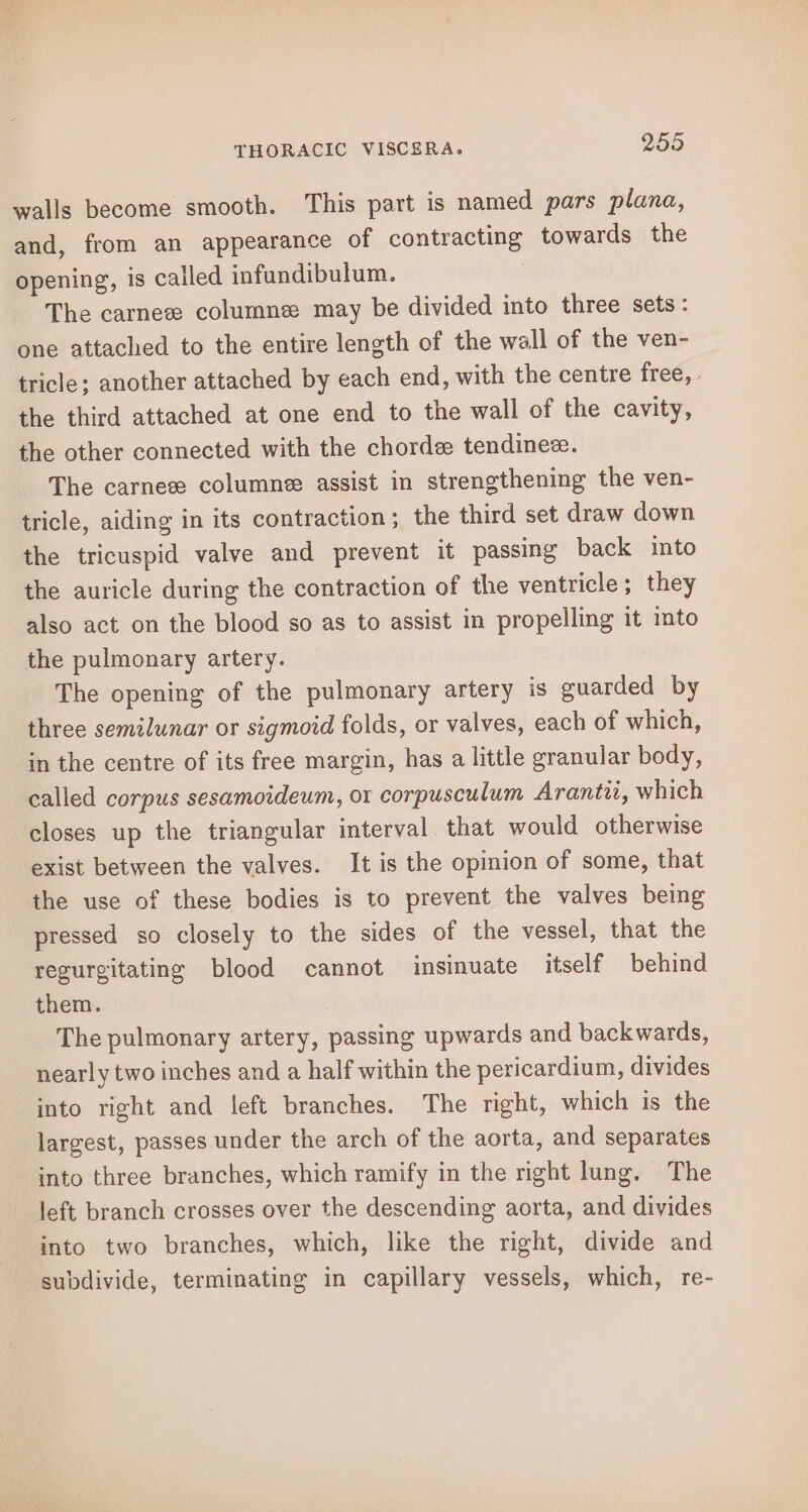 walls become smooth. This part is named pars plana, and, from an appearance of contracting towards the opening, is called infundibulum. The carneee column: may be divided into three sets: one attached to the entire length of the wall of the ven- tricle; another attached by each end, with the centre free, . the third attached at one end to the wall of the cavity, the other connected with the chordee tendinee. The carneee columne assist in strengthening the ven- tricle, aiding in its contraction; the third set draw down the tricuspid valve and prevent it passing back into the auricle during the contraction of the ventricle ; they also act on the blood so as to assist in propelling it into the pulmonary artery. The opening of the pulmonary artery is guarded by three semilunar or sigmoid folds, or valves, each of which, in the centre of its free margin, has a little granular body, called corpus sesamoideum, or corpusculum Arantii, which closes up the triangular interval. that would otherwise exist between the valves. It is the opinion of some, that the use of these bodies is to prevent the valves being pressed so closely to the sides of the vessel, that the regurgitating blood cannot insinuate itself behind them. The pulmonary artery, passing upwards and backwards, nearly two inches and a half within the pericardium, divides into right and left branches. The right, which is the largest, passes under the arch of the aorta, and separates into three branches, which ramify in the right lung. The left branch crosses over the descending aorta, and divides into two branches, which, like the right, divide and subdivide, terminating in capillary vessels, which, re-
