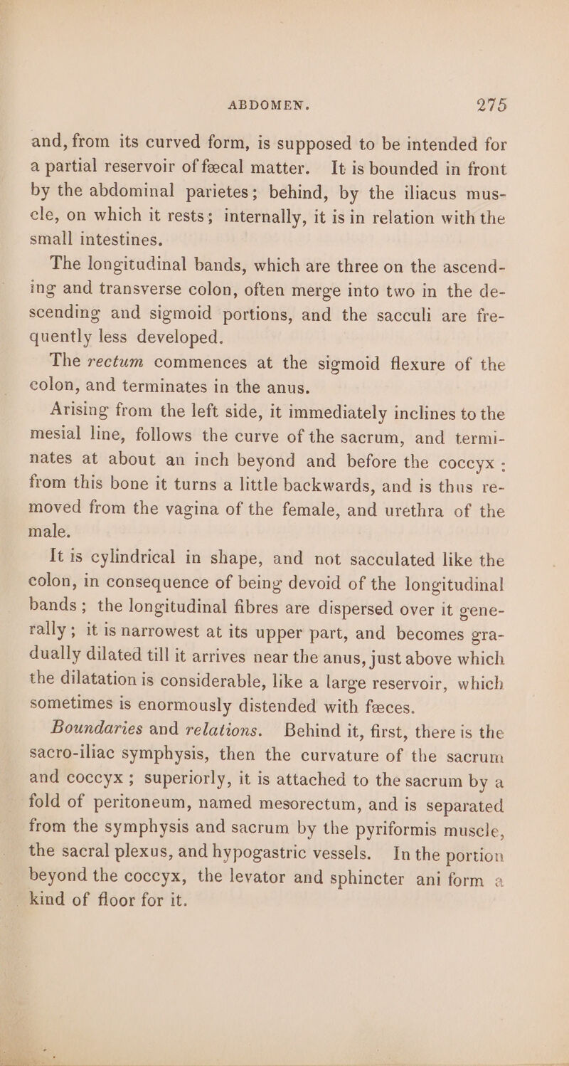 and, from its curved form, is supposed to be intended for a partial reservoir of feecal matter. It is bounded in front by the abdominal parietes; behind, by the iliacus mus- cle, on which it rests; internally, it is in relation with the small intestines. The longitudinal bands, which are three on the ascend- ing and transverse colon, often merge into two in the de- scending and sigmoid portions, and the sacculi are fre- quently less developed. The rectum commences at the sigmoid flexure of the colon, and terminates in the anus. Arising from the left side, it immediately inclines to the mesial line, follows the curve of the sacrum, and termi- nates at about an inch beyond and before the coccyx - from this bone it turns a little backwards, and is thus re- moved from the vagina of the female, and urethra of the male. It is cylindrical in shape, and not sacculated like the colon, in consequence of being devoid of the longitudinal bands ; the longitudinal fibres are dispersed over it gene- rally ; it is narrowest at its upper part, and becomes gra- dually dilated till it arrives near the anus, just above which the dilatation is considerable, like a large reservoir, which sometimes is enormously distended with feces. Boundaries and relations. Behind it, first, there is the sacro-iliac symphysis, then the curvature of the sacrum and coccyx ; superiorly, it is attached to the sacrum by a fold of peritoneum, named mesorectum, and is separated from the symphysis and sacrum by the pyriformis muscle, the sacral plexus, and hypogastric vessels. In the portion beyond the coccyx, the levator and sphincter ani form a