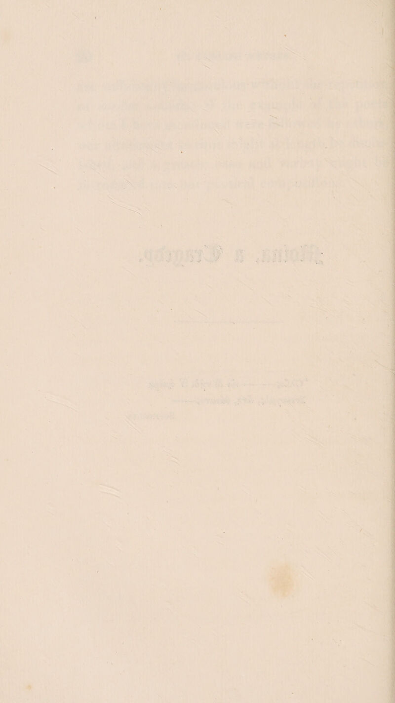 X ' •-v ■ '■,. '’». ■'' .■■■ ■■.,• ■ \' ■■‘r: ! i ■ '1, I. • f h^ l. ■' 'S /.. ■ . -«< - - .,1 ^ ^ A.. V -X \ ■k^ ^kxrii-m-.If i7fi>' ...* ^i'’ 4ti 4^ (- V ■■!» .- • V ^ ‘T- V. ■■::-t '.ks,-> , ■ ■ .\ A's.c:■■■-’■ X. .fe/f *■ I , •* • .t' * ■ - • • ' 4. f|'- .X:. ■■■; ■[ -, j' . L'.*^,.; . ^ i.r. •^. ♦'’T *V-. ' -■'it -. ? ..■■.,,.... I ' ■ ^ \ ’-i ,.i : l' /? »•• Vft ,-. , ''■’■»!?■ • '-■ i m:: r ■ ,:■< .\ f ■.' ■<■' . «■ '■ i'* ■ >-' . ; ? .. ■>,■ 4