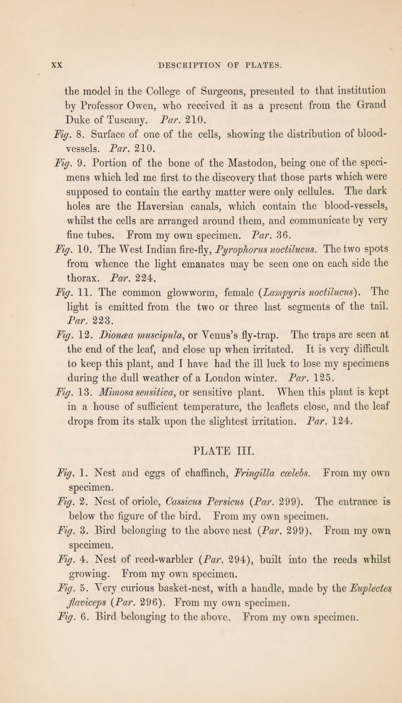 the model in the College of Surgeons, presented to that institution by Professor Owen, who received it as a present from the Grand Duke of Tuscany. Par. 210. Pig. 8. Surface of one of the cells, showing the distribution of blood¬ vessels. Par. 210. Pig. 9. Portion of the bone of the Mastodon, being one of the speci¬ mens which led me first to the discovery that those parts which were supposed to contain the earthy matter were only cellules. The dark holes are the Haversian canals, which contain the blood-vessels, whilst the cells are arranged around them, and communicate by very fine tubes. Prom my own specimen. Par. 36. Pig. 10. The West Indian fire-fly, Pyrophorus noctilucus. The two spots from whence the light emanates may be seen one on each side the thorax. Par. 224. Pig. 11. The common glowworm, female (Lampyris noctilucus). The light is emitted from the two or three last segments of the tail. Par. 223. Fig. 12. Pioncea muscipula, or Yenus’s fly-trap. The traps are seen at the end of the leaf, and close up when irritated. It is very difficult to keep this plant, and I have had the ill luck to lose my specimens during the dull weather of a London winter. Par. 125. Pig. 13. Mimosa sensitiva, or sensitive plant. When this plant is kept in a house of sufficient temperature, the leaflets close, and the leaf drops from its stalk upon the slightest irritation. Par. 124. PLATE III. Pig. 1. Nest and eggs of chaffinch, Pringilla coelebs. Prom my own specimen. Fig. 2. Nest of oriole, Cassicus Persicus (Par. 299). The entrance is below the figure of the bird. Prom my own specimen. Fig. 3. Bird belonging to the above nest (Par. 299). Prom my own specimen. Fig. 4. Nest of reed-warbler (Par. 294), built into the reeds whilst growing. Prom my own specimen. Fig. 5. Yery curious basket-nest, with a handle, made by the Euplectes Jiaviceps (Par. 296). Prom my own specimen. Fig. 6. Bird belonging to the above. Prom my own specimen.