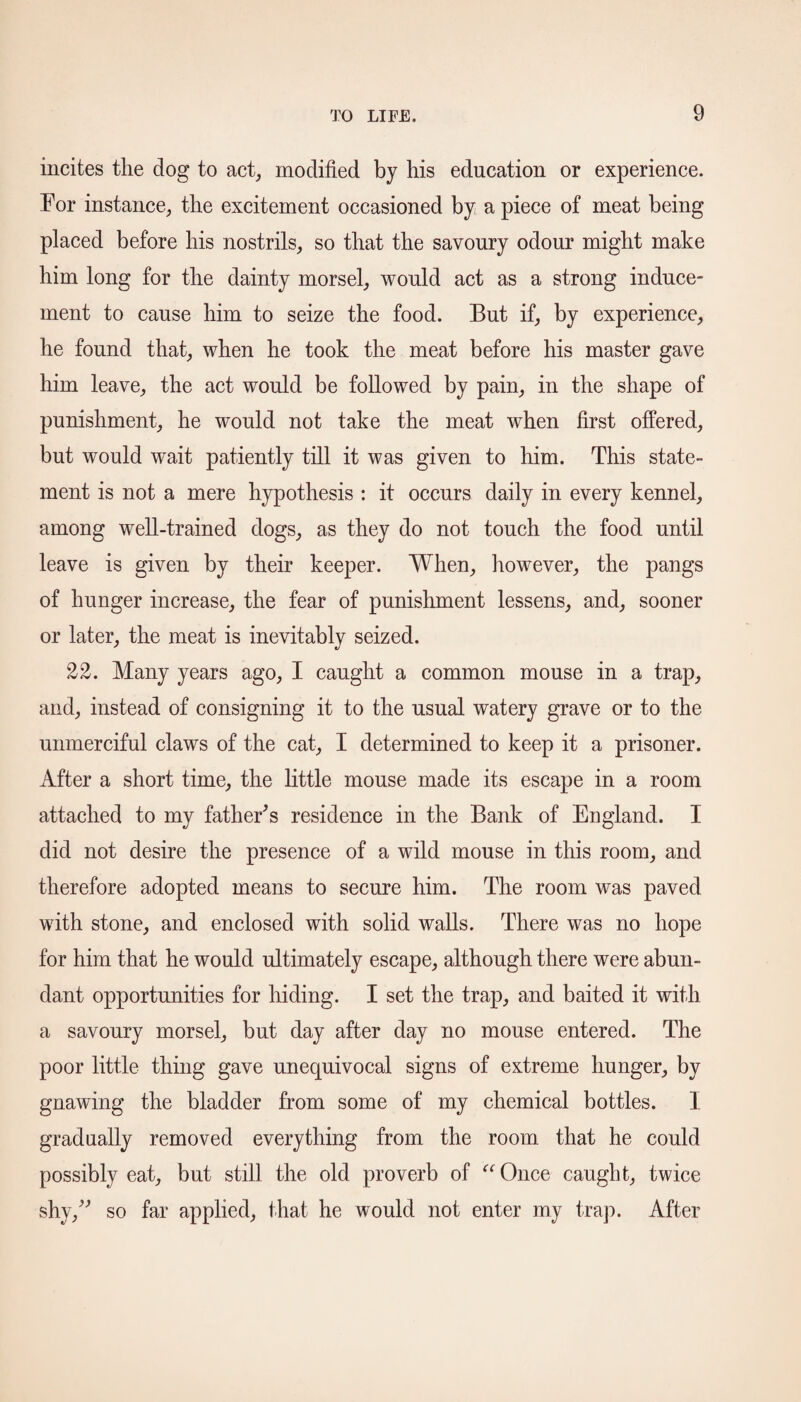 incites the dog to act, modified by his education or experience. For instance, the excitement occasioned by a piece of meat being placed before his nostrils, so that the savoury odour might make him long for the dainty morsel, would act as a strong induce¬ ment to cause him to seize the food. But if, by experience, he found that, when he took the meat before his master gave him leave, the act would be followed by pain, in the shape of punishment, he would not take the meat when first offered, but would wait patiently till it was given to him. This state¬ ment is not a mere hypothesis : it occurs daily in every kennel, among well-trained dogs, as they do not touch the food until leave is given by their keeper. When, however, the pangs of hunger increase, the fear of punishment lessens, and, sooner or later, the meat is inevitablv seized. 22. Many years ago, I caught a common mouse in a trap, and, instead of consigning it to the usual watery grave or to the unmerciful claws of the cat, I determined to keep it a prisoner. After a short time, the little mouse made its escape in a room attached to my father's residence in the Bank of England. I did not desire the presence of a wild mouse in this room, and therefore adopted means to secure him. The room was paved with stone, and enclosed with solid walls. There was no hope for him that he would ultimately escape, although there were abun¬ dant opportunities for hiding. I set the trap, and baited it with a savoury morsel, but day after day no mouse entered. The poor little thing gave unequivocal signs of extreme hunger, by gnawing the bladder from some of my chemical bottles. I gradually removed everything from the room that he could possibly eat, but still the old proverb of “Once caught, twice shy, so far applied, that he would not enter my trap. After