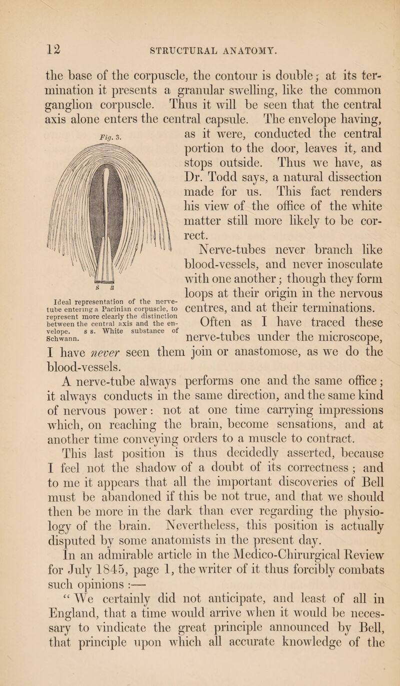 the base of the corpuscle, the contour is double; at its ter¬ mination it presents a granular swelling, like the common ganglion corpuscle. Thus it will be seen that the central axis alone enters the central capsule. The envelope having, as it were, conducted the central portion to the door, leaves it, and stops outside. Thus we have, as Dr. Todd says, a natural dissection made for us. This fact renders his view of the office of the white matter still more likely to be cor¬ rect. Nerve-tubes never branch like blood-vessels, and never inosculate with one another; though they form loops at their origin in the nervous Ideal representation of the nerve- \ • . • , • tube entering a Pacinian corpuscle, to centres, ana at their terminations. represent more clearly the distinction r\Px. T 1 j i ,n between the central axis and the en- Olteil aS JL liaVe tlTLCed tlieSC velope. s s. White substance of , t , -i Schwann. nerve-tubes under the microscope, I have never seen them join or anastomose, as we do the blood-vessels. A nerve-tube always performs one and the same office; it always conducts in the same direction, and the same kind of nervous power: not at one time carrying impressions which, on reaching the brain, become sensations, and at another time conveying orders to a muscle to contract. This last position is thus decidedly asserted, because I feel not the shadow of a doubt of its correctness ; and to me it appears that all the important discoveries of Bell must be abandoned if this be not true, and that we should then be more in the dark than ever regarding the physio¬ logy of the brain. Nevertheless, this position is actually disputed by some anatomists in the present day. In an admirable article in the Medico-Chirurgical Review for July 1845, page 1, the writer of it thus forcibly combats such opinions :— “We certainly did not anticipate, and least of all in England, that a time would arrive when it would be neces¬ sary to vindicate the great principle announced by Bell, that principle upon which all accurate knowledge of the Fig. 3. S 3