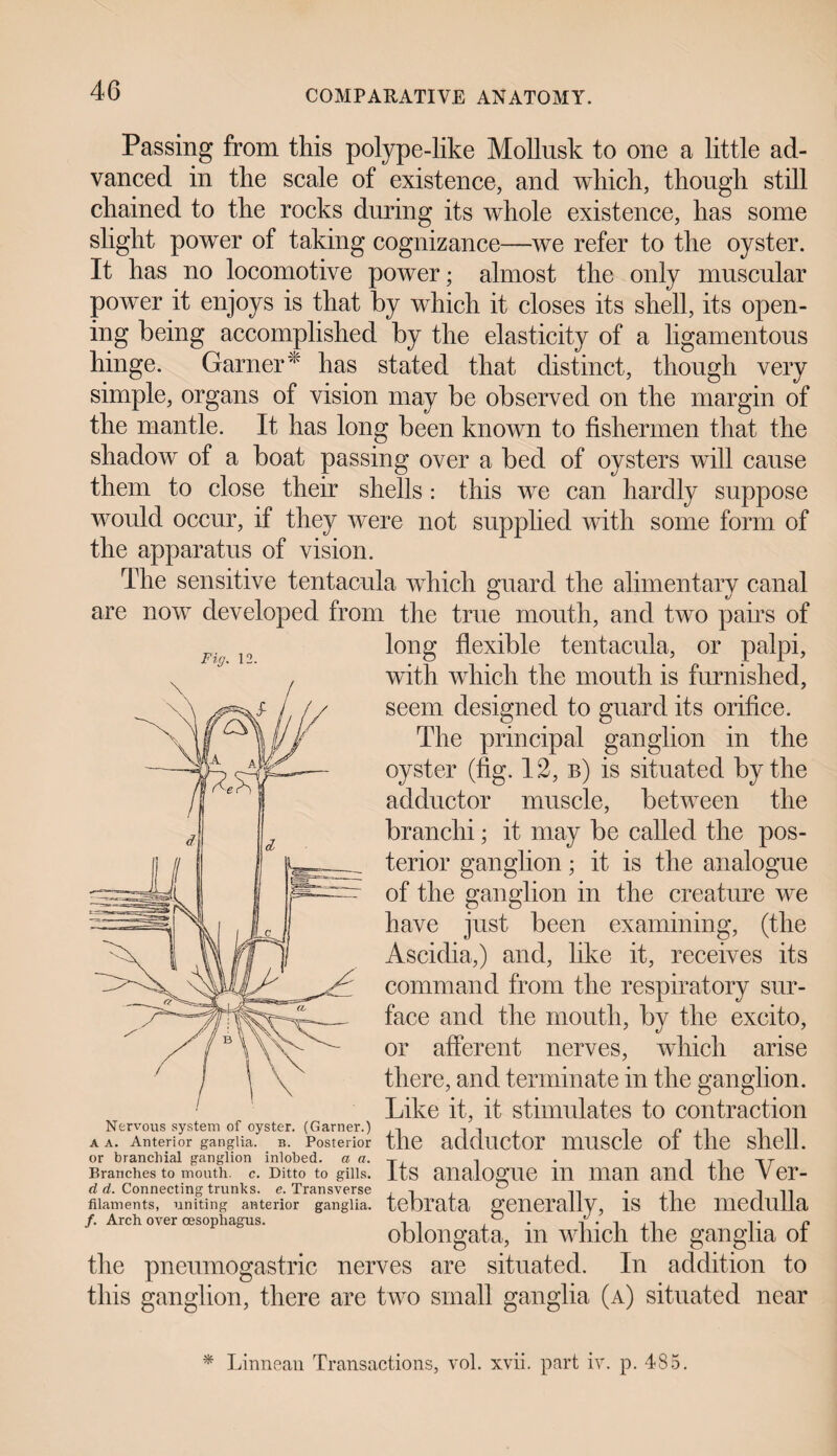 Fig. V. Passing from this polype-like Mollusk to one a little ad¬ vanced in the scale of existence, and which, though still chained to the rocks during its whole existence, has some slight power of taking cognizance—we refer to the oyster. It has no locomotive power; almost the only muscular power it enjoys is that by which it closes its shell, its open¬ ing being accomplished by the elasticity of a ligamentous hinge. Garner* has stated that distinct, though very simple, organs of vision may be observed on the margin of the mantle. It has long been known to fishermen that the shadow of a boat passing over a bed of oysters will cause them to close their shells : this we can hardly suppose would occur, if they were not supplied with some form of the apparatus of vision. The sensitive tentacula which guard the alimentary canal are now developed from the true mouth, and two pairs of long flexible tentacula, or palpi, with which the mouth is furnished, seem designed to guard its orifice. The principal ganglion in the oyster (fig. 12, b) is situated by the adductor muscle, between the branchi; it may be called the pos¬ terior ganglion; it is the analogue of the ganglion in the creature we have just been examining, (the Ascidia,) and, like it, receives its command from the respiratory sur¬ face and the mouth, by the excito, or afferent nerves, which arise there, and terminate in the ganglion. Like it, it stimulates to contraction Nervous system of oyster. (Garner.) iii i in a a. Anterior ganglia, a. Posterior tile adfUlCtOr milSCle 01 tile Shell, or branchial ganglion inlobed. a a. T , ~rT Branches to mouth, c. Ditto to gills, its analogue in man and the V er- d d. Connecting trunks, e. Transverse 0 i n filaments, uniting anterior ganglia, tebrata generally, is tlie medulla oblongata, m which the ganglia ot the pneumogastric nerves are situated. In addition to this ganglion, there are two small ganglia (a) situated near * Linnean Transactions, vol. xvii. part iv. p. 485.