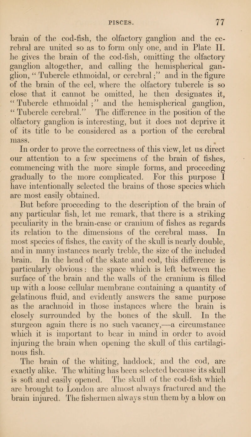 brain of the cod-fish, the olfactory ganglion and the ce¬ rebral are united so as to form only one, and in Plate II. he gives the brain of the cod-fish, omitting the olfactory ganglion altogether, and calling the hemispherical gan¬ glion, “ Tubercle ethmoidal, or cerebral;’5 and in the figure of the brain of the eel, where the olfactory tubercle is so close that it cannot be omitted, he then designates it, “ Tubercle ethmoidal;” and the hemispherical ganglion, “ Tubercle cerebral.” The difference in the position of the olfactory ganglion is interesting, bnt it does not deprive it of its title to be considered as a portion of the cerebral mass. In order to prove the correctness of this view, let us direct our attention to a few specimens of the brain of fishes, commencing with the more simple forms, and proceeding gradually to the more complicated. Por this purpose I have intentionally selected the brains of those species which are most easily obtained. But before proceeding to the description of the brain of any particular fish, let me remark, that there is a striking peculiarity in the brain-case or cranium of fishes as regards its relation to the dimensions of the cerebral mass. In most species of fishes, the cavity of the skull is nearly double, and in many instances nearly treble, the size of the included brain. In the head of the skate and cod, this difference is particularly obvious: the space which is left between the surface of the brain and the walls of the cranium is filled up with a loose cellular membrane containing a quantity of gelatinous fluid, and evidently answers the same purpose as the arachnoid in those instances where the brain is closely surrounded by the bones of the skull. In the sturgeon again there is no such vacancy,—a circumstance which it is important to bear in mind in order to avoid injuring the brain when opening the skull of this cartilagi¬ nous fish. The brain of the whiting, haddock, and the cod, are exactly alike. The whiting has been selected because its skull is soft and easily opened. The skull of the cod-fish which are brought to London are almost always fractured and the brain injured. The fishermen always stun them by a blow on