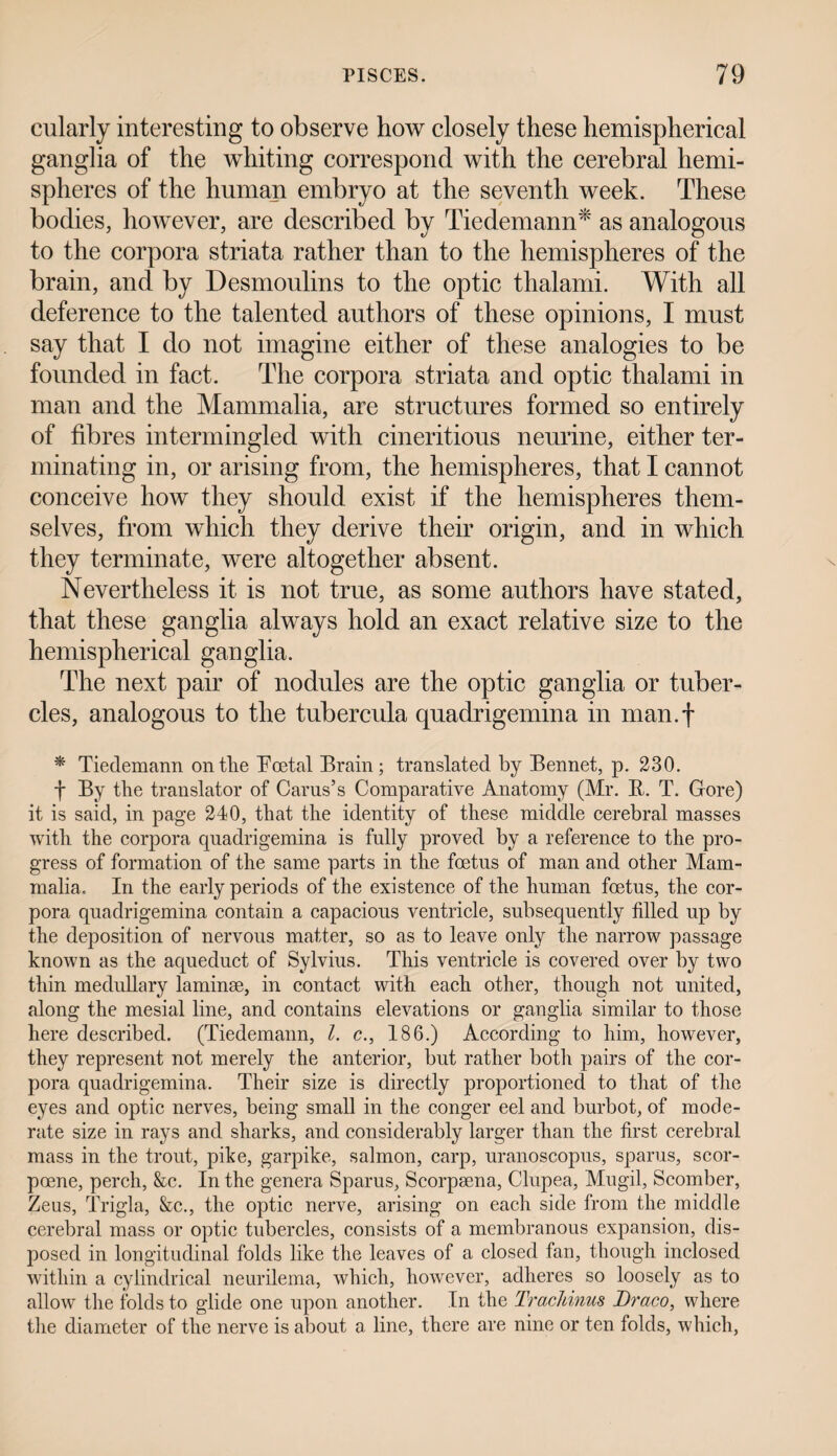 cularly interesting to observe how closely these hemispherical ganglia of the whiting correspond with the cerebral hemi¬ spheres of the human embryo at the seventh week. These bodies, however, are described by Tiedemann* as analogous to the corpora striata rather than to the hemispheres of the brain, and by Desmoulins to the optic thalami. With all deference to the talented authors of these opinions, I must say that I do not imagine either of these analogies to be founded in fact. The corpora striata and optic thalami in man and the Mammalia, are structures formed so entirely of fibres intermingled with cineritious neurine, either ter¬ minating in, or arising from, the hemispheres, that I cannot conceive how they should exist if the hemispheres them¬ selves, from which they derive their origin, and in which they terminate, were altogether absent. Nevertheless it is not true, as some authors have stated, that these ganglia always hold an exact relative size to the hemispherical ganglia. The next pair of nodules are the optic ganglia or tuber¬ cles, analogous to the tubercula quadrigemina in man.f * Tiedemann on the Rcetal Brain; translated by Bennet, p. 230. f By the translator of Cams’s Comparative Anatomy (Mr. R. T. Gore) it is said, in page 240, that the identity of these middle cerebral masses with the corpora quadrigemina is fully proved by a reference to the pro¬ gress of formation of the same parts in the foetus of man and other Mam¬ malia. In the early periods of the existence of the human foetus, the cor¬ pora quadrigemina contain a capacious ventricle, subseepiently filled up by the deposition of nervous matter, so as to leave only the narrow passage known as the aqueduct of Sylvius. This ventricle is covered over by two thin medullary laminae, in contact with each other, though not united, along the mesial line, and contains elevations or ganglia similar to those here described. (Tiedemann, l. c., 186.) According to him, however, they represent not merely the anterior, but rather both pairs of the cor¬ pora quadrigemina. Their size is directly proportioned to that of the eyes and optic nerves, being small in the conger eel and burbot, of mode¬ rate size in rays and sharks, and considerably larger than the first cerebral mass in the trout, pike, garpike, salmon, carp, uranoscopus, spams, scor- pcene, perch, &c. In the genera Sparus, Scorpsena, Clupea, Mugil, Scomber, Zeus, Trigla, &c., the optic nerve, arising on each side from the middle cerebral mass or optic tubercles, consists of a membranous expansion, dis¬ posed in longitudinal folds like the leaves of a closed fan, though inclosed within a cylindrical neurilema, which, however, adheres so loosely as to allow the folds to glide one upon another. In the TracJdnus Draco, where the diameter of the nerve is about a line, there are nine or ten folds, which,