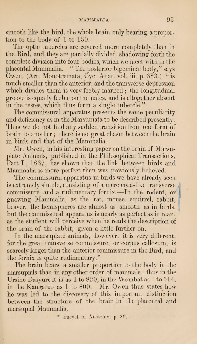 smooth like the bird, the whole brain only bearing a propor¬ tion to the body of 1 to 130. The optic tubercles are covered more completely than in the Bird, and they are partially divided, shadowing forth the complete division into four bodies, which we meet with in the placental Mammalia. “ The posterior bigeminal body/5 says Owen, (Art. Monotremata, Cyc. Anat. vol. iii. p. 383,) “ is much smaller than the anterior, and the transverse depression which divides them is very feebly marked; the longitudinal groove is equally feeble on the nates, and is altogether absent in the testes, which thus form a single tubercle.” The commissural apparatus presents the same peculiarity and deficiency as in the Marsupiata to be described presently. Thus we do not find any sudden transition from one form of brain to another; there is no great chasm between the brain in birds and that of the Mammalia. Mr. Owen, in his interesting paper on the brain of Marsu- piate Animals, published in the Philosophical Transactions, Part I., 1837, has shown that the link between birds and Mammalia is more perfect than was previously believed. The commissural apparatus in birds we have already seen is extremely simple, consisting of a mere cord-like transverse commissure and a rudimentary fornix.—In the rodent, or gnawing Mammalia, as the rat, mouse, squirrel, rabbit, beaver, the hemispheres are almost as smooth as in birds, but the commissural apparatus is nearly as perfect as in man, as the student will perceive when he reads the description of the brain of the rabbit, given a little further on. In the marsupiate animals, however, it is very different, for the great transverse commissure, or corpus callosum, is scarcely larger than the anterior commissure in the Bird, and the fornix is quite rudimentary A' The brain bears a smaller proportion to the body in the marsupials than in any other order of mammals : thus in the Ursine Dasyure it is as 1 to 820, in the Wombat as 1 to 614, in the Kangaroo as 1 to 800. Mr. Owen thus states how he was led to the discovery of this important distinction between the structure of the brain in the placental and marsupial Mammalia. * Encycl. of Anatomy, p. 89.
