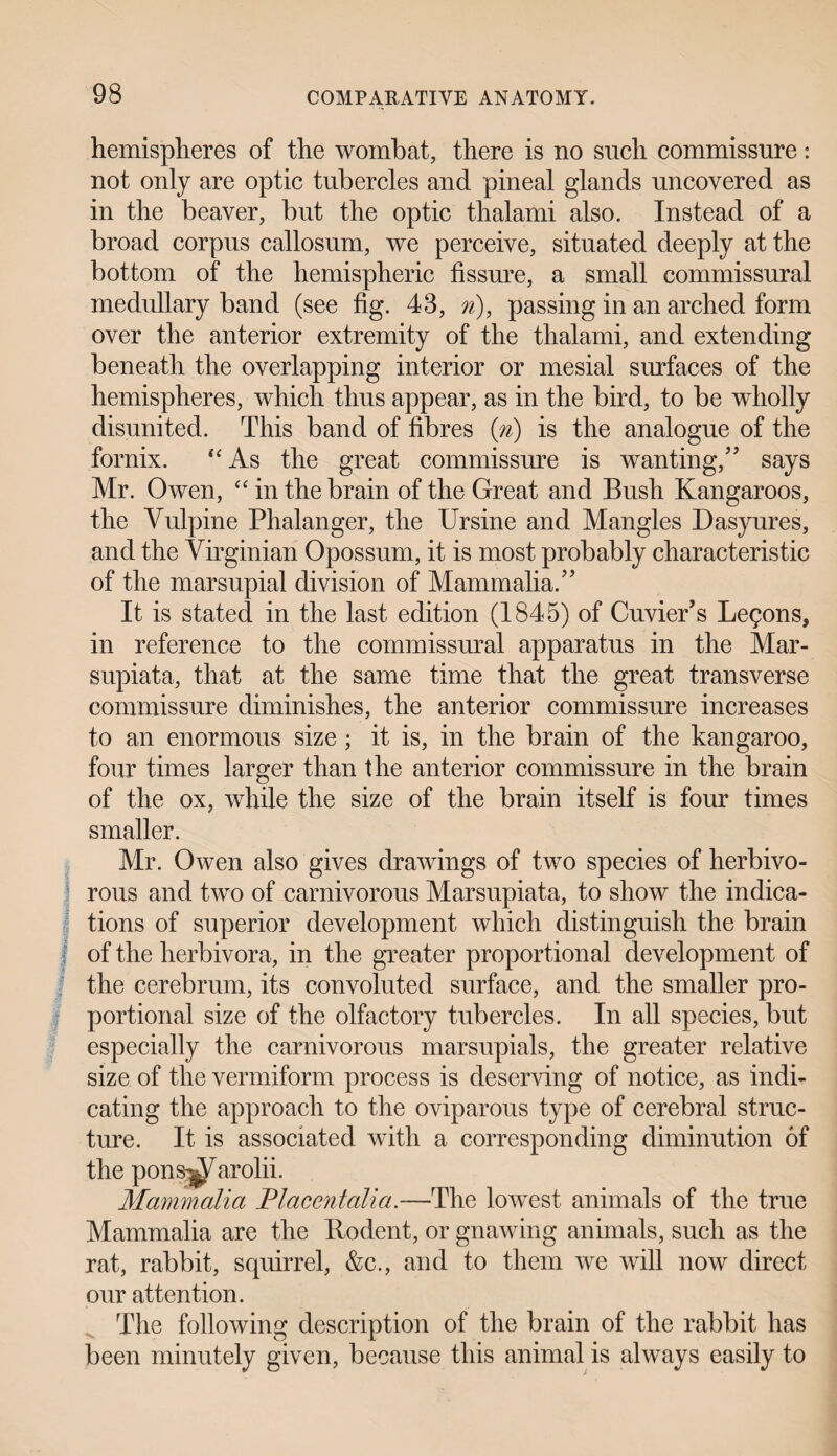 hemisplieres of the wombat, there is no such commissure: not only are optic tubercles and pineal glands uncovered as in the beaver, but the optic thalami also. Instead of a broad corpus callosum, we perceive, situated deeply at the bottom of the hemispheric fissure, a small commissural medullary band (see fig. 43, n), passing in an arched form over the anterior extremity of the thalami, and extending beneath the overlapping interior or mesial surfaces of the hemispheres, which thus appear, as in the bird, to be wholly disunited. This band of fibres (n) is the analogue of the fornix. “As the great commissure is wanting,” says Mr. Owen, “ in the brain of the Great and Bush Kangaroos, the Vulpine Phalanger, the Ursine and Mangles Dasyures, and the Virginian Opossum, it is most probably characteristic of the marsupial division of Mammalia.” It is stated in the last edition (1845) of Cuvier’s Lemons, in reference to the commissural apparatus in the Mar- supiata, that at the same time that the great transverse commissure diminishes, the anterior commissure increases to an enormous size ; it is, in the brain of the kangaroo, four times larger than the anterior commissure in the brain of the ox, while the size of the brain itself is four times smaller. Mr. Owen also gives drawings of two species of herbivo¬ rous and two of carnivorous Marsupiata, to show the indica¬ tions of superior development which distinguish the brain of the herbivora, in the greater proportional development of the cerebrum, its convoluted surface, and the smaller pro¬ portional size of the olfactory tubercles. In all species, but especially the carnivorous marsupials, the greater relative size of the vermiform process is deserving of notice, as indi¬ cating the approach to the oviparous type of cerebral struc¬ ture. It is associated with a corresponding diminution of the pons^arolii. Mammalia Placentalia.—The lowest animals of the true Mammalia are the Rodent, or gnawing animals, such as the rat, rabbit, squirrel, &c., and to them we will now direct our attention. The following description of the brain of the rabbit has been minutely given, because this animal is always easily to