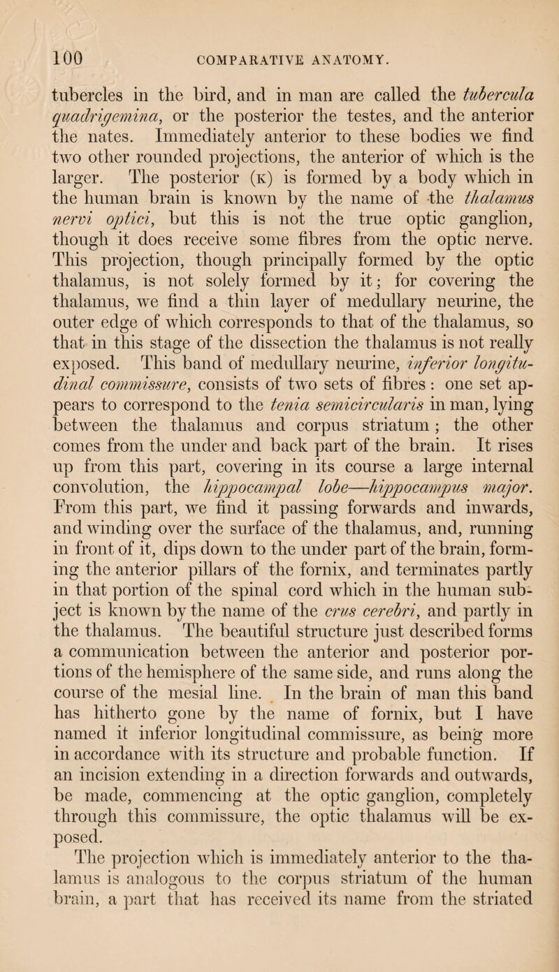 tubercles in the bird, and in man are called the tubercula quadrigemino, or the posterior the testes, and the anterior the nates. Immediately anterior to these bodies we find two other rounded projections, the anterior of which is the larger. The posterior (k) is formed by a body which in the human brain is known by the name of the thalamus nervi optici, but this is not the true optic ganglion, though it does receive some fibres from the optic nerve. This projection, though principally formed by the optic thalamus, is not solely formed by it; for covering the thalamus, we find a thin layer of medullary neurine, the outer edge of which corresponds to that of the thalamus, so that in this stage of the dissection the thalamus is not really exposed. This band of medullary neurine, inferior longitu¬ dinal commissure, consists of two sets of fibres : one set ap¬ pears to correspond to the tenia semicircularis in man, lying between the thalamus and corpus striatum; the other comes from the under and back part of the brain. It rises up from this part, covering in its course a large internal convolution, the hippocampal lobe—hippocampus major. From this part, we find it passing forwards and inwards, and winding over the surface of the thalamus, and, running in front of it, dips down to the under part of the brain, form¬ ing the anterior pillars of the fornix, and terminates partly in that portion of the spinal cord which in the human sub¬ ject is known by the name of the crus cerebri, and partly in the thalamus. The beautiful structure just described forms a communication between the anterior and posterior por¬ tions of the hemisphere of the same side, and runs along the course of the mesial line. In the brain of man this band has hitherto gone by the name of fornix, but I have named it inferior longitudinal commissure, as being more in accordance with its structure and probable function. If an incision extending in a direction forwards and outwards, be made, commencing at the optic ganglion, completely through this commissure, the optic thalamus will be ex¬ posed. The projection which is immediately anterior to the tha¬ lamus is analogous to the corpus striatum of the human brain, a part that has received its name from the striated
