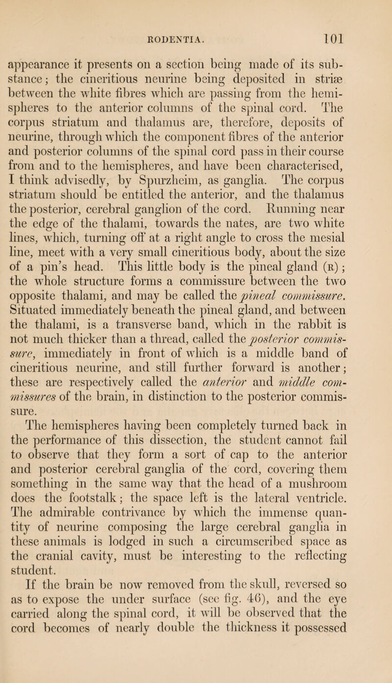 appearance it presents on a section being made of its sub¬ stance; the cineritious neurine being deposited in striae between the white fibres which are passing from the hemi¬ spheres to the anterior columns of the spinal cord. The corpus striatum and thalamus are, therefore, deposits of neurine, through which the component fibres of the anterior and posterior columns of the spinal cord pass in their course from and to the hemispheres, and have been characterised, I think advisedly, by Spurzheim, as ganglia. The corpus striatum should be entitled the anterior, and the thalamus the posterior, cerebral ganglion of the cord. Running near the edge of the thalami, towards the nates, are two white lines, which, turning off at a right angle to cross the mesial line, meet with a very small cineritious body, about the size of a pin’s head. This little body is the pineal gland (r) ; the whole structure forms a commissure between the two opposite thalami, and may be called the pineal commissure. Situated immediately beneath the pineal gland, and between the thalami, is a transverse band, which in the rabbit is not much thicker than a thread, called the posterior commis¬ sure, immediately in front of which is a middle band of cineritious neurine, and still further forward is another; these are respectively called the anterior and middle com¬ missures of the brain, in distinction to the posterior commis¬ sure. The hemispheres having been completely turned back in the performance of this dissection, the student cannot fail to observe that they form a sort of cap to the anterior and posterior cerebral ganglia of the cord, covering them something in the same way that the head of a mushroom does the footstalk; the space left is the lateral ventricle. The admirable contrivance by which the immense quan¬ tity of neurine composing the large cerebral ganglia in these animals is lodged in such a circumscribed space as the cranial cavity, must be interesting to the reflecting student. If the brain be now removed from the skull, reversed so as to expose the under surface (see fig. 46), and the eye carried along the spinal cord, it will be observed that the cord becomes of nearly double the thickness it possessed