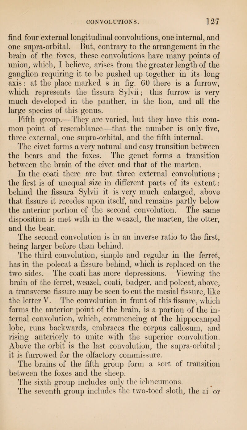 find four external longitudinal convolutions, one internal, and one supra-orbital. But, contrary to the arrangement in the brain of the foxes, these convolutions have many points of union, which, I believe, arises from the greater length of the ganglion requiring it to be pushed up together in its long axis : at the place marked s in fig. 60 there is a furrow, which represents the fissura Sylvii; this furrow is very much developed in the panther, in the lion, and all the large species of this genus. Fifth group.—They are varied, but they have this com¬ mon point of resemblance—that the number is only five, three external, one supra-orbital, and the fifth internal. The civet forms a very natural and easy transition between the bears and the foxes. The genet forms a transition between the brain of the civet and that of the marten. In the coati there are but three external convolutions ; the first is of unequal size in different parts of its extent: behind the fissura Sylvii it is very much enlarged, above that fissure it recedes upon itself, and remains partly below the anterior portion of the second convolution. The same disposition is met with in the weazel, the marten, the otter, and the bear. The second convolution is in an inverse ratio to the first, being larger before than behind. The third convolution, simple and regular in the ferret, has in the polecat a fissure behind, which is replaced on the two sides. The coati has more depressions. Viewing the brain of the ferret, weazel, coati, badger, and polecat, above, a transverse fissure may be seen to cut the mesial fissure, like the letter V. The convolution in front of this fissure, which forms the anterior point of the brain, is a portion of the in¬ ternal convolution, which, commencing at the hippocampal lobe, runs backwards, embraces the corpus callosum, and rising anteriorly to unite with the superior convolution. Above the orbit is the last convolution, the supra-orbital; it is furrowed for the olfactory commissure. The brains of the fifth group form a sort of transition between the foxes and the sheep. The sixth group includes only the ichneumons. The seventh group includes the two-toed sloth, the ai or