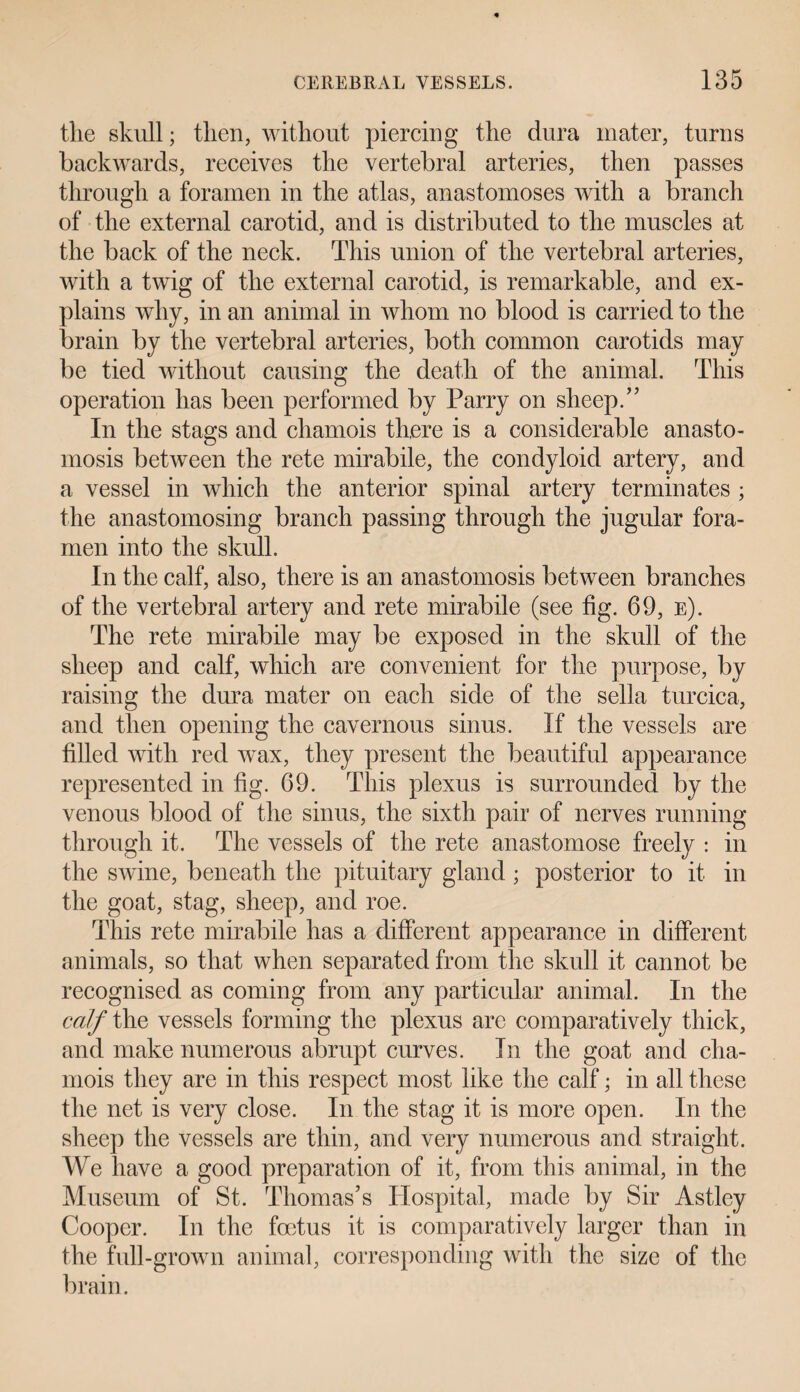 tlie skull; then, without piercing the dura mater, turns backwards, receives the vertebral arteries, then passes through a foramen in the atlas, anastomoses with a branch of the external carotid, and is distributed to the muscles at the back of the neck. This union of the vertebral arteries, with a twig of the external carotid, is remarkable, and ex¬ plains why, in an animal in whom no blood is carried to the brain by the vertebral arteries, both common carotids may be tied without causing the death of the animal. This operation has been performed by Parry on sheep.” In the stags and chamois there is a considerable anasto¬ mosis between the rete mirabile, the condyloid artery, and a vessel in which the anterior spinal artery terminates ; the anastomosing branch passing through the jugular fora¬ men into the skull. In the calf, also, there is an anastomosis between branches of the vertebral artery and rete mirabile (see fig. 69, e). The rete mirabile may be exposed in the skull of the sheep and calf, which are convenient for the purpose, by raising the dura mater on each side of the sella turcica, and then opening the cavernous sinus. If the vessels are filled with red wax, they present the beautiful appearance represented in fig. 69. This plexus is surrounded by the venous blood of the sinus, the sixth pair of nerves running through it. The vessels of the rete anastomose freely : in the swine, beneath the pituitary gland ; posterior to it in the goat, stag, sheep, and roe. This rete mirabile has a different appearance in different animals, so that when separated from the skull it cannot be recognised as coming from any particular animal. In the calf the vessels forming the plexus are comparatively thick, and make numerous abrupt curves. In the goat and cha¬ mois they are in this respect most like the calf; in all these the net is very close. In the stag it is more open. In the sheep the vessels are thin, and very numerous and straight. We have a good preparation of it, from this animal, in the Museum of St. Thomas’s Hospital, made by Sir Astley Cooper. In the foetus it is comparatively larger than in the full-grown animal, corresponding with the size of the brain.