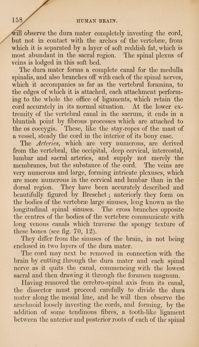 /will observe the dura mater completely investing the cord, but not in contact with the arches of the vertebrae, from which it is separated by a layer of soft reddish fat, which is most abundant in the sacral region. The spinal plexus of veins is lodged in this soft bed. The dura mater forms a complete canal for the medulla spinalis, and also branches off with each of the spinal nerves, which it accompanies as far as the vertebral foramina, to the edges of which it is attached, each attachment perform¬ ing to the whole the office of ligaments, which retain the cord accurately in its normal situation. At the lower ex¬ tremity of the vertebral canal in the sacrum, it ends in a bluntish point by fibrous processes which are attached to the os coccygis. These, like the stay-ropes of the mast of a vessel, steady the cord in the interior of its bony case. The Arteries, which are very numerous, are derived from the vertebral, the occipital, deep cervical, intercostal, lumbar and sacral arteries, and supply not merely the membranes, but the substance of the cord. The veins are very numerous and large, forming intricate plexuses, which are more numerous in the cervical and lumbar than in the dorsal region. They have been accurately described and beautifully figured by Breschet; anteriorly they form on the bodies of the vertebrae large sinuses, long known as the longitudinal spinal sinuses. The cross branches opposite the centres of the bodies of the vertebrae communicate with long venous canals which traverse the spongy texture of these bones (see fig. 70, 12). They differ from the sinuses of the brain, in not being enclosed in two layers of the dura mater. The cord may next be removed in connection with the brain by cutting through the dura mater and each spinal nerve as it cpiits the canal, commencing with the lowest sacral and then drawing it through the foramen magnum. Having removed the cerebro-spinal axis from its canal, the dissector must proceed carefully to divide the dura mater along the mesial line, and he will then observe the arachnoid loosely investing the cords, and forming, by the addition of some tendinous fibres, a tooth-like ligament between the anterior and posterior roots of each of the spinal