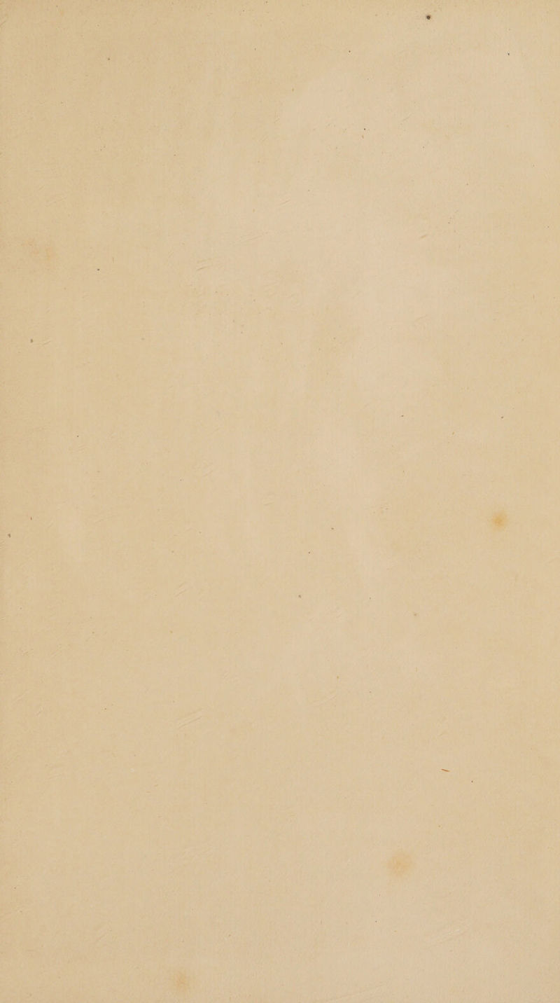 ‘) : Pai ly it ) —