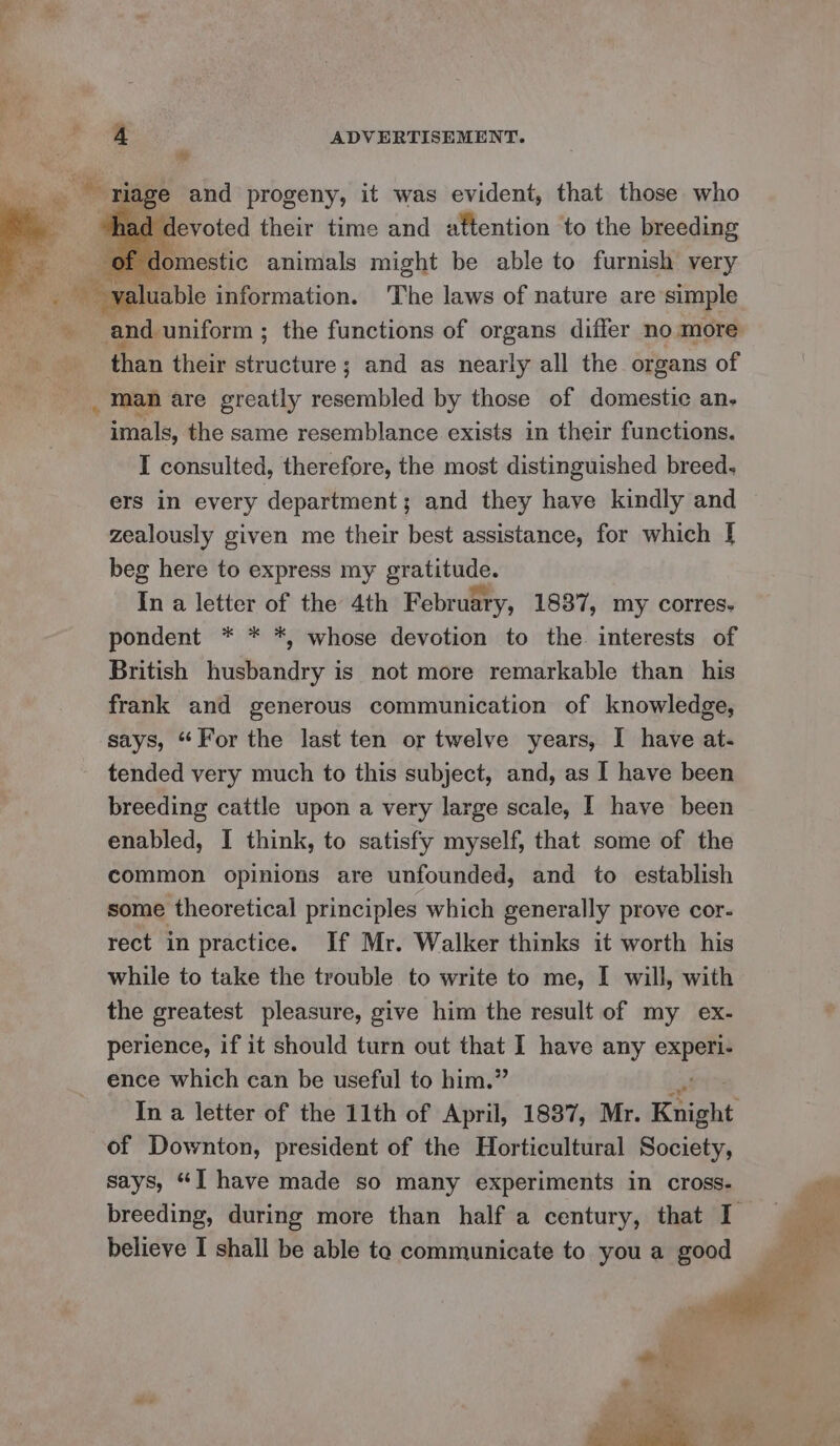 ; Bi . Tiage and progeny, it was evident, that those who devoted their time and attention to the breeding of domestic animals might be able to furnish very ve luable information. The laws of nature are simple and uniform ; the functions of organs differ no more than their structure; and as nearly all the organs of man are greatly resembled by those of domestic an, imals, the same resemblance exists in their functions. I consulted, therefore, the most distinguished breed. ers in every department; and they have kindly and zealously given me their best assistance, for which [ beg here to express my apa In a letter of the 4th February, 1837, my corres. pondent * * *, whose devotion to the interests of British husbandry is not more remarkable than his frank and generous communication of knowledge, says, “For the last ten or twelve years, I have at- tended very much to this subject, and, as I have been breeding cattle upon a very large scale, I have been enabled, I think, to satisfy myself, that some of the common opinions are unfounded, and to establish some theoretical principles which generally prove cor- rect in practice. If Mr. Walker thinks it worth his while to take the trouble to write to me, I will, with the greatest pleasure, give him the result of my ex- perience, if it should turn out that I have any — ence which can be useful to him.” In a letter of the 11th of April, 1887, Mr. Knight of Downton, president of the Horticultural Society, says, “I have made so many experiments in cross- breeding, during more than half a century, that I 2