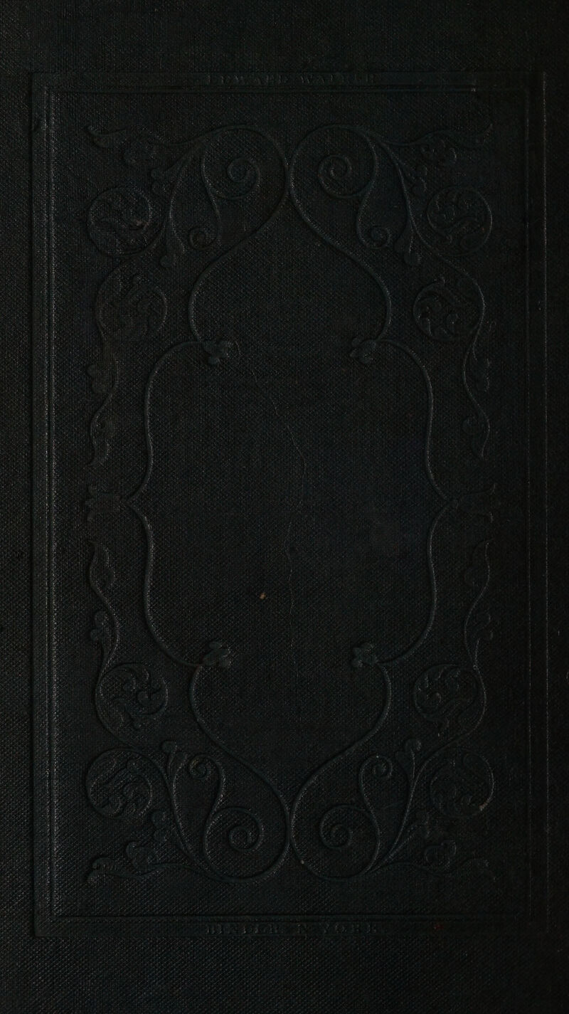 =, - éjse ¥ ‘< rele pes > + ’ = * Mavs ih nha © ¥, Se , ‘ a cote ene Laat eine intents ae tenentp agin tattle ees allie beanie a naniate Sa aT Pheweem: os Aine, Leche emet 1P) memes Sn heey pr ee eties entaratnn women ge iminw hnnesige bpnerwss sas/nn tetas hasan aes mess eewrer © php gD water wiZO) it 8 pate le renee mental tn BA Seta sieNaIe Wie Reman pseTbeNN ARN em eR onthe reat = na at ¢ ~ ees ae _ SN eee on Pe ee 4 te ERE LS Ses. %3 -  ue