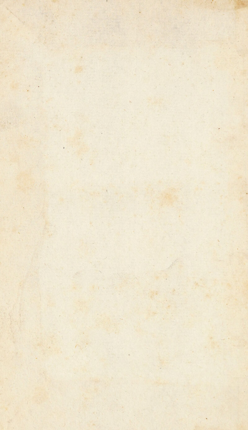 4 . ^ ✓ -• . *' ■ ■ . / V. t ' I \ .. »