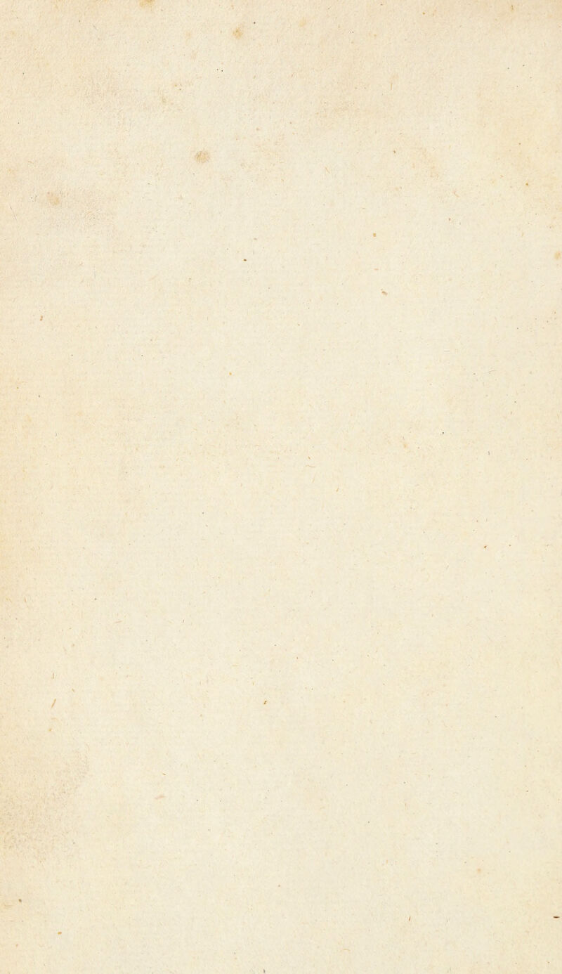 s. t ■ ; ■m 4 » V / < •A \ I \ l I