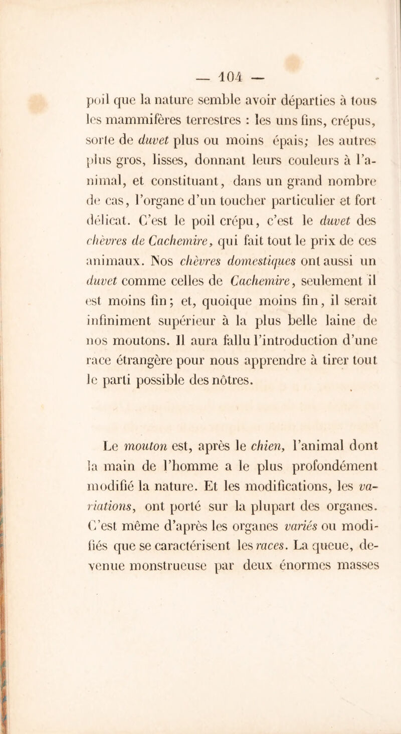 poil que la nature semble avoir départies à tous les mammifères terrestres : les uns fins, crépus, sorte de duvet plus ou moins épais; les autres plus gros, lisses, donnant leurs couleurs à l’a- nimal, et constituant, dans un grand nombre de cas, l’organe d’un toucher particulier et fort délicat. C’est le poil crépu, c’est le duvet des chèvres de Cachemire, qui fait tout le prix de ces animaux. Nos chèvres domestiques ont aussi un duvet comme celles de Cachemire, seulement il est moins fin ; et, quoique moins fin, il serait infiniment supérieur à la plus belle laine de nos moutons. 11 aura fallu l’introduction d’une race étrangère pour nous apprendre à tirer tout le parti possible des nôtres. Le mouton est, après le chien, l’animal dont ia main de l’homme a le plus profondément modifié la nature. Et les modifications, les va- riations, ont porté sur la plupart des organes. C’est même d’après les organes variés ou modi- fiés que se caractérisent les races. La queue, de- venue monstrueuse par deux énormes masses