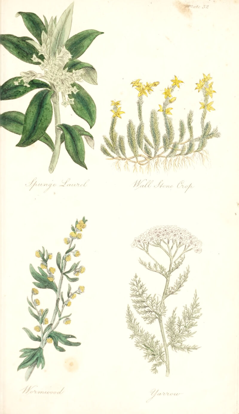 /> fK / y/'/ //. .,/ r.4^ fie 6 y 0-/ty