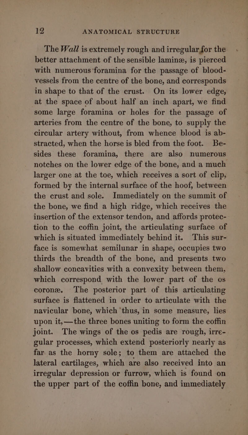 The Wall is extremely rough and irregular,for the better attachment of the sensible lamine, is pierced with numerous ‘foramina for the passage of blood- vessels from the centre of the bone, and corresponds in shape to that of the crust. On its lower edge, at the space of about half an inch apart, we find some large foramina or holes for the passage of arteries from the centre of the bone, to supply the circular artery without, from whence blood is ab- stracted, when the horse is bled from the foot. Be- sides these foramina, there are also numerous notches on the lower edge of the bone, and a much larger one at the toe, which receives a sort of clip, formed by the internal surface of the hoof, between — the crust and sole. Immediately on the summit of the bone, we find a high ridge, which receives the insertion of the extensor tendon, and affords protec- tion to the coffin joint, the articulating surface of which is situated immediately behind it. This sur- face is somewhat semilunar in shape, occupies two thirds the breadth of the bone, and presents two shallow concavities with a convexity between them, which correspond with the lower part of the os corone. The posterior part of this articulating surface is flattened in order to articulate with the navicular bone, which ‘thus, in some measure, lies upon it, —the three bones uniting to form the coffin joint. The wings of the os pedis are rough, irre- gular processes, which extend posteriorly nearly as far as the horny sole; to them are attached the lateral cartilages, which are also received into an irregular depression or furrow, which is found on the upper part of the coffin bone, and immediately
