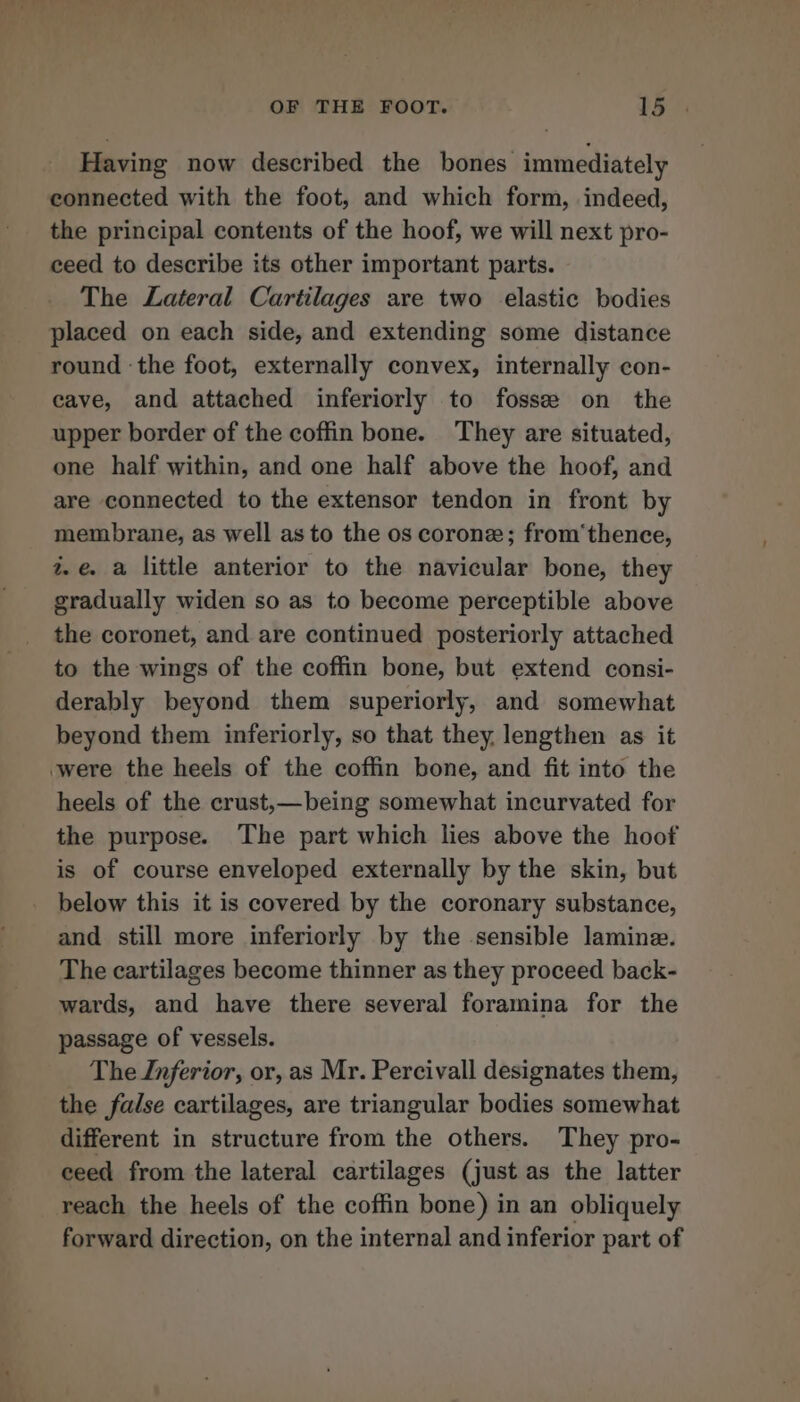 Having now described the bones immediately connected with the foot, and which form, indeed, the principal contents of the hoof, we will next pro- ceed to describe its other important parts. The Lateral Cartilages are two elastic bodies placed on each side, and extending some distance round ‘the foot, externally convex, internally con- cave, and attached inferiorly to fossee on the upper border of the coffin bone. They are situated, one half within, and one half above the hoof, and are connected to the extensor tendon in front by membrane, as well as to the os corone; from‘thence, 2. @. a little anterior to the navicular bone, they gradually widen so as to become perceptible above the coronet, and are continued posteriorly attached to the wings of the coffin bone, but extend consi- derably beyond them superiorly, and somewhat beyond them inferiorly, so that they, lengthen as it were the heels of the coffin bone, and fit into the heels of the crust,—being somewhat incurvated for the purpose. The part which lies above the hoof is of course enveloped externally by the skin, but below this it is covered by the coronary substance, and still more inferiorly by the sensible lamine. The cartilages become thinner as they proceed back- wards, and have there several foramina for the passage of vessels. The Inferior, or, as Mr. Percivall designates them, the false cartilages, are triangular bodies somewhat different in structure from the others. They pro- ceed from the lateral cartilages (just as the latter reach the heels of the coffin bone) in an obliquely forward direction, on the internal and inferior part of
