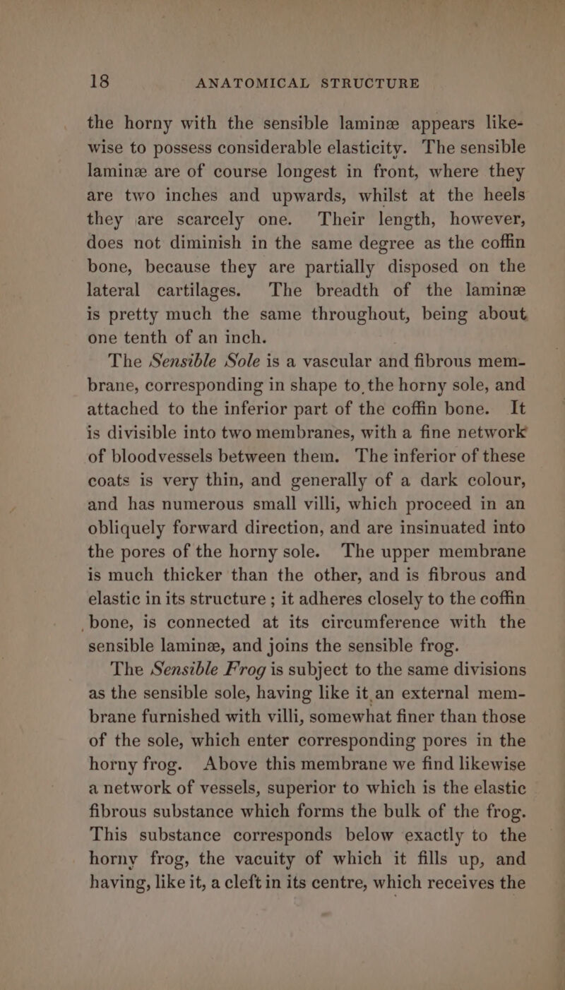 the horny with the sensible lamine appears like- wise to possess considerable elasticity. The sensible laminz are of course longest in front, where they are two inches and upwards, whilst at the heels they are scarcely one. Their length, however, does not diminish in the same degree as the coffin bone, because they are partially disposed on the lateral cartilages. The breadth of the lamine is pretty much the same throughout, being about one tenth of an inch. The Sensible Sole is a vascular and fibrous mem- brane, corresponding in shape to, the horny sole, and attached to the inferior part of the coffin bone. It is divisible into two membranes, with a fine network of bloodvessels between them. The inferior of these coats is very thin, and generally of a dark colour, and has numerous small villi, which proceed in an obliquely forward direction, and are insinuated into the pores of the horny sole. The upper membrane is much thicker than the other, and is fibrous and elastic in its structure ; it adheres closely to the coffin _bone, is connected at its circumference with the sensible laminz, and joins the sensible frog. The Sensible Frog is subject to the same divisions as the sensible sole, having like it.an external mem- brane furnished with villi, somewhat finer than those of the sole, which enter corresponding pores in the horny frog. Above this membrane we find likewise a network of vessels, superior to which is the elastic fibrous substance which forms the bulk of the frog. This substance corresponds below exactly to the horny frog, the vacuity of which it fills up, and having, like it, a cleft in its centre, which receives the