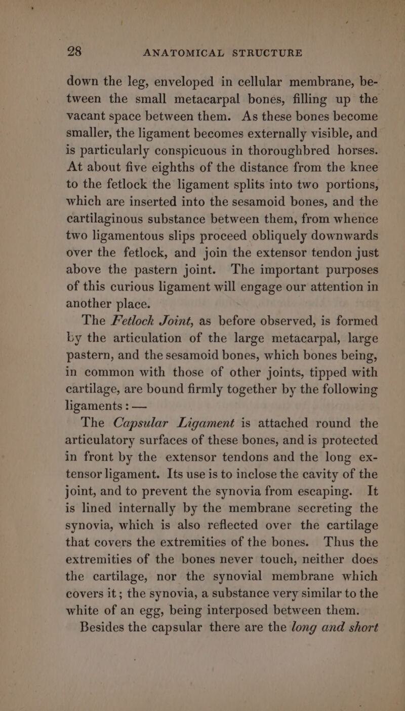 PS ee ee 98 ANATOMICAL STRUCTURE down the leg, enveloped in cellular membrane, be-_ tween the small metacarpal bones, filling up the vacant space between them. As these bones become smaller, the ligament becomes externally visible, and is particularly conspicuous in thoroughbred horses. At about five eighths of the distance from the knee to the fetlock the ligament splits into two portions, which are inserted into the sesamoid bones, and the cartilaginous substance between them, from whence two ligamentous slips proceed obliquely downwards over the fetlock, and join the extensor tendon just above the pastern joint. The important purposes of this curious ligament will engage our attention in another place. The Fetlock Joint, as before observed, is formed by the articulation of the large metacarpal, large pastern, and the sesamoid bones, which bones being, in common with those of other joints, tipped with cartilage, are bound firmly together by the following ligaments : — The Capsular Ligament is attached round the articulatory surfaces of these bones, and is protected in front by the extensor tendons and the long ex- tensor ligament. Its use is to inclose the cavity of the joint, and to prevent the synovia from escaping. It is lined internally by the membrane secreting the synovia, which is also reflected over the cartilage that covers the extremities of the bones. Thus the extremities of the bones never touch, neither does the cartilage, nor the synovial membrane which covers it; the synovia, a substance very similar to the white of an egg, being interposed between them. Besides the capsular there are the long and short