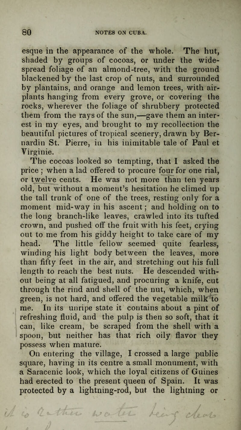 esque in the appearance of the whole. The hut, shaded by groups of cocoas, or under the wide¬ spread foliage of an almond-tree, with the ground blackened by the last crop of nuts, and surrounded by plantains, and orange and lemon trees, with air- plants hanging from every grove, or covering the rocks, wherever the foliage of shrubbery protected them from the rays of the sun,—gave them an inter¬ est in my eyes, and brought to my recollection the beautiful pictures of tropical scenery, drawn by Ber- nardin St. Pierre, in his inimitable tale of Paul et Virginie. The cocoas looked so tempting, that I asked the price ; when a lad offered to procure four for one rial, or twelve cents. He was not more than ten years old, but without a moment’s hesitation he climed up the tall trunk of one of the trees, resting only for a moment mid-way in his ascent; and holding on to the long branch-like leaves, crawled into its tufted crown, and pushed off the fruit with his feet, crying out to me from his giddy height to take care of my head. The little fellow seemed quite fearless, winding his light body between the leaves, more than fifty feet in the air, and stretching out his full length to reach the best nuts. He descended with¬ out being at all fatigued, and procuring a knife, cut through the rind and shell of the nut, which, when green, is not hard, and offered the vegetable milk to me. In its unripe state it contains about a pint of refreshing fluid, and the pulp is then so soft, that it can, like cream, be scraped from the shell with a spoon, but neither has that rich oily flavor they possess when mature. On entering the village, I crossed a large public square, having in its centre a small monument, with a Saracenic look, which the loyal citizens of Guines had erected to the present queen of Spain. It was protected by a lightning-rod, but the lightning or