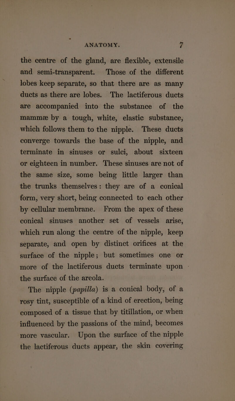 the centre of the gland, are flexible, extensile and semi-transparent. Those of the different lobes keep separate, so that there are as many ducts as there are lobes. The lactiferous ducts are accompanied into the substance of the mammee by a tough, white, elastic substance, which follows them to the nipple. These ducts converge towards the base of the nipple, and terminate in sinuses or sulci, about sixteen or eighteen in number. These sinuses are not of the same size, some being little larger than the trunks themselves: they are of a conical form, very short, being connected to each other by cellular membrane. From the apex of these conical sinuses another set of vessels arise, which run along the centre of the nipple, keep separate, and open by distinct orifices at the surface of the nipple; but sometimes one or more of the lactiferous ducts terminate upon | the surface of the areola. The nipple (papilla) is a conical body, of a rosy tint, susceptible of a kind of erection, being composed of a tissue that by titillation, or when influenced by the passions of the mind, becomes more vascular. Upon the surface of the nipple the lactiferous ducts appear, the skin covering