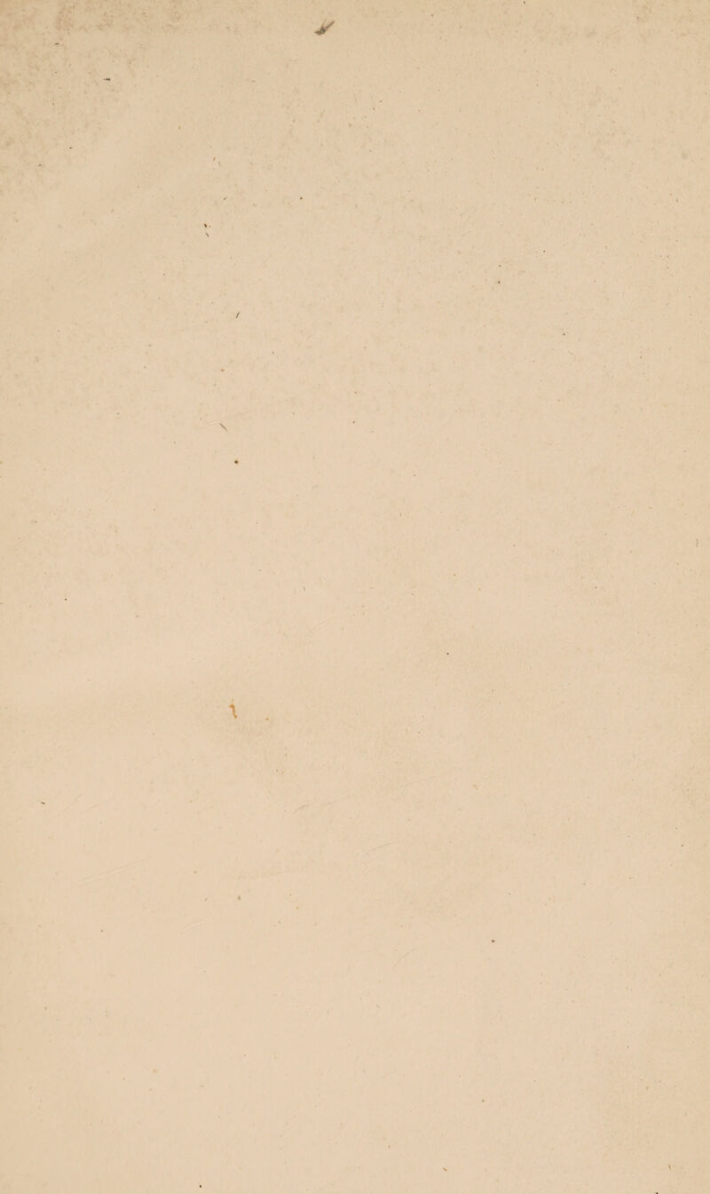 ÉCONOMIE POLITIQUE. 45 • y (Économie ^politique. 617 J. B. Say, Traite d’e'conomie politique. Paris, 1814. 2 vol. in-8° br. 618 Le même ouvrage. Brux. 1827. 3 vol. in-12 br. 619 J. B .Say Lettres à M. Malthus. Paris, 1820. in-81 br. 620 -De l’Angleterre et des anglais. Paris, i8i5. in-8 br. 621 -Petit volume contenant quelques aperçus. Paris, 1817. in-'12 br. 622 Rie4rdo , Des principes de l’e'conomie politique, traduit par Constancio, avec des notes de J. B. Say. Paris, 1819. 2 vol. in-8 br. 523 Veriii, Economie politique. Paris, an VIII. in-8 dem. rel. v. 624 Canard, Principes d’e'conomie politique. Paris, 1801. in-81 br. 620 Malthus, Essai sur le principe de population, traduit par Prévost. Genève, 1809. 3 vol. in-8° br. 626 Cte de Mirabeau, sur Moses Mendelsohn, sur la reforme politique des juifs. Lond. 1787. in-8° br. 627 A. Duval , Des se'pultures. Paris, Panckoucke, an IX. in-83 br. gd pap. 628 E. Weitsii Consilium de continendis et alendis domi pau- peribus. etc. Bremœ, i65i. in 12 M. R. d. s. pl. 629 Traité touchant la suppression de la mendicité' dans la ville d’Anvers. 1780. et autres br. in-8° 630 (Deslandes ), Lettre sur le luxe. Londres, 1 74^. in-12 br. 631 Bilhon, De l’administration des revenus publics chez les romains. Paris, i8o3. in-81 br. 632 Smith, Recherches sur la nature et les causes de la richesse des nations,( traduit par Blavet). Lond. 1788. 2 vol. in-8° br. 633 (Senac de Meilhàn), Considérations sur les richesses et le luxe. yJmst. 1787. in 8° br. 634 C. Zillezen , Wysgeerig onderzoek wegens Ncderland’s op- koinst, bloei en welvaard. simst. 1796. in-8° cart.