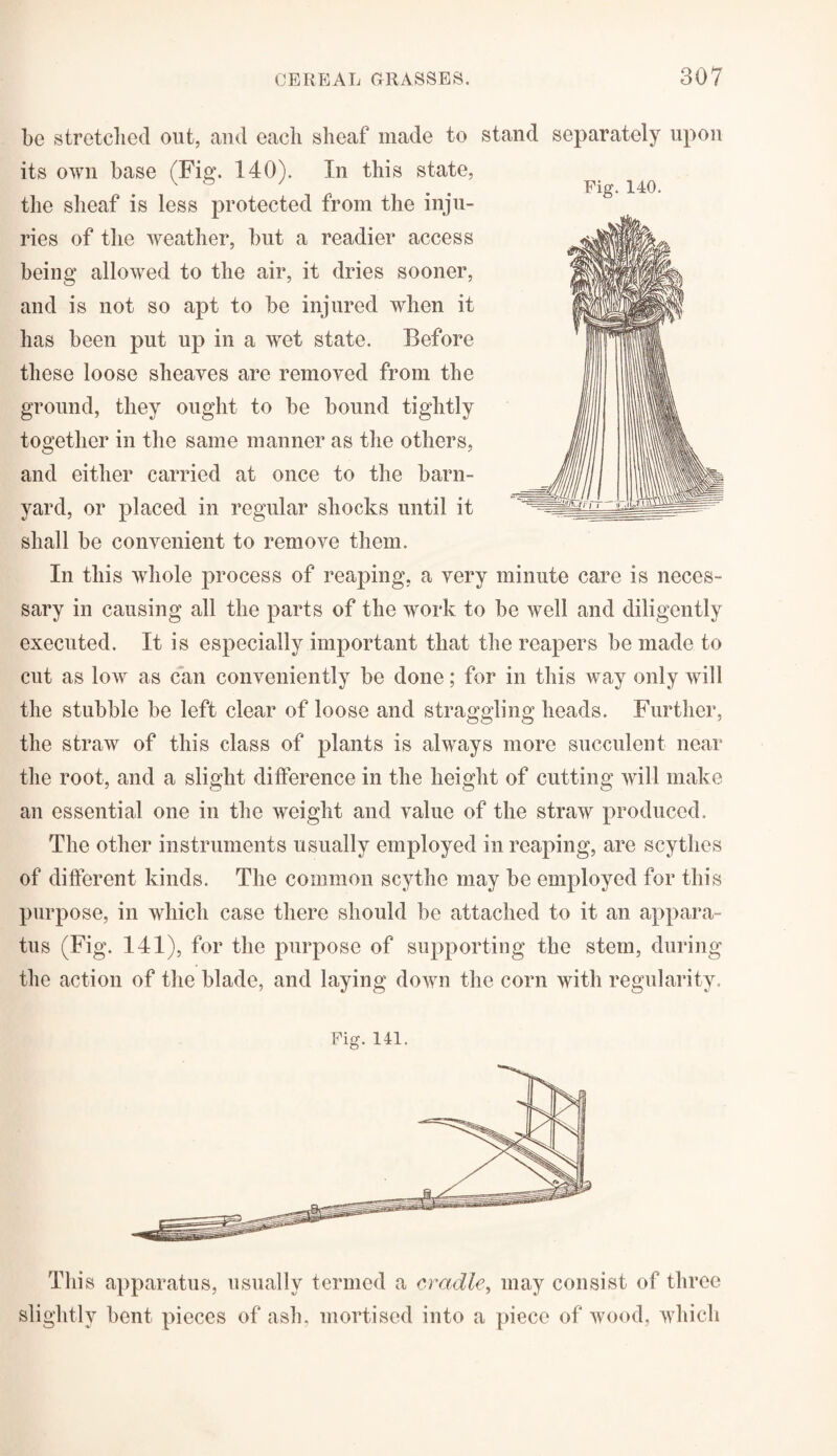 be stretched out, and each sheaf made to stand separately upon its own base (Fig. 140). In this state, the sheaf is less protected from the inju¬ ries of the weather, but a readier access being allowed to the air, it dries sooner, and is not so apt to be injured when it has been put up in a wet state. Before these loose sheaves are removed from the ground, they ought to be bound tightly together in the same manner as the others, and either carried at once to the barn¬ yard, or placed in regular shocks until it shall be convenient to remove them. In this whole process of reaping, a very minute care is neces¬ sary in causing all the parts of the work to be well and diligently executed. It is especially important that the reapers be made to cut as low as can conveniently be done; for in this way only will the stubble be left clear of loose and straggling heads. Further, the straw of this class of plants is always more succulent near the root, and a slight difference in the height of cutting will make an essential one in the weight and value of the straw produced. The other instruments usually employed in reaping, are scythes of different kinds. The common scythe may be employed for this purpose, in which case there should be attached to it an appara¬ tus (Fig. 141), for the purpose of supporting the stem, during the action of the blade, and laying down the corn with regularity. Fig. 140. Fig. 141. This apparatus, usually termed a cradle, may consist of three slightly bent pieces of ash, mortised into a piece of wood, which