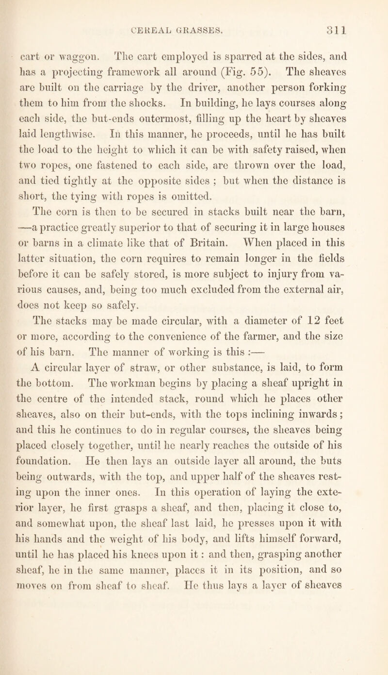 cart or waggon. The cart employed is sparred at the sides, and lias a projecting framework all around (Fig. 55). The sheaves are built on the carriage by the driver, another person forking them to him from the shocks. In building, he lays courses along each side, the but-ends outermost, filling up the heart by sheaves laid lengthwise. In this manner, he proceeds, until he lias built the load to the height to which it can be with safety raised, when two ropes, one fastened to each side, are thrown over the load, and tied tightly at the opposite sides ; but when the distance is short, the tying with ropes is omitted. The corn is then to be secured in stacks built near the barn, ——a practice greatly superior to that of securing it in large houses or barns in a climate like that of Britain. When placed in this latter situation, the corn requires to remain longer in the fields before it can be safely stored, is more subject to injury from va¬ rious causes, and, being too much excluded from the external air, does not keep so safely. The stacks may be made circular, with a diameter of 12 feet or more, according to the convenience of the farmer, and the size of his barn. The manner of working is this :— A circular layer of straw, or other substance, is laid, to form the bottom. The workman begins by placing a sheaf upright in the centre of the intended stack, round which he places other sheaves, also on their but-ends, with the tops inclining inwards; and this he continues to do in regular courses, the sheaves being placed closely together, until he nearly reaches the outside of his foundation. He then lays an outside layer all around, the huts being outwards, with the top, and upper half of the sheaves rest¬ ing upon the inner ones. In this operation of laying the exte¬ rior layer, he first grasps a sheaf, and then, placing it close to, and somewhat upon, the sheaf last laid, he presses upon it with his hands and the weight of his body, and lifts himself forward, until he has placed his knees upon it: and then, grasping another sheaf, he in the same manner, places it in its position, and so moves on from sheaf to sheaf. He thus lays a layer of sheaves