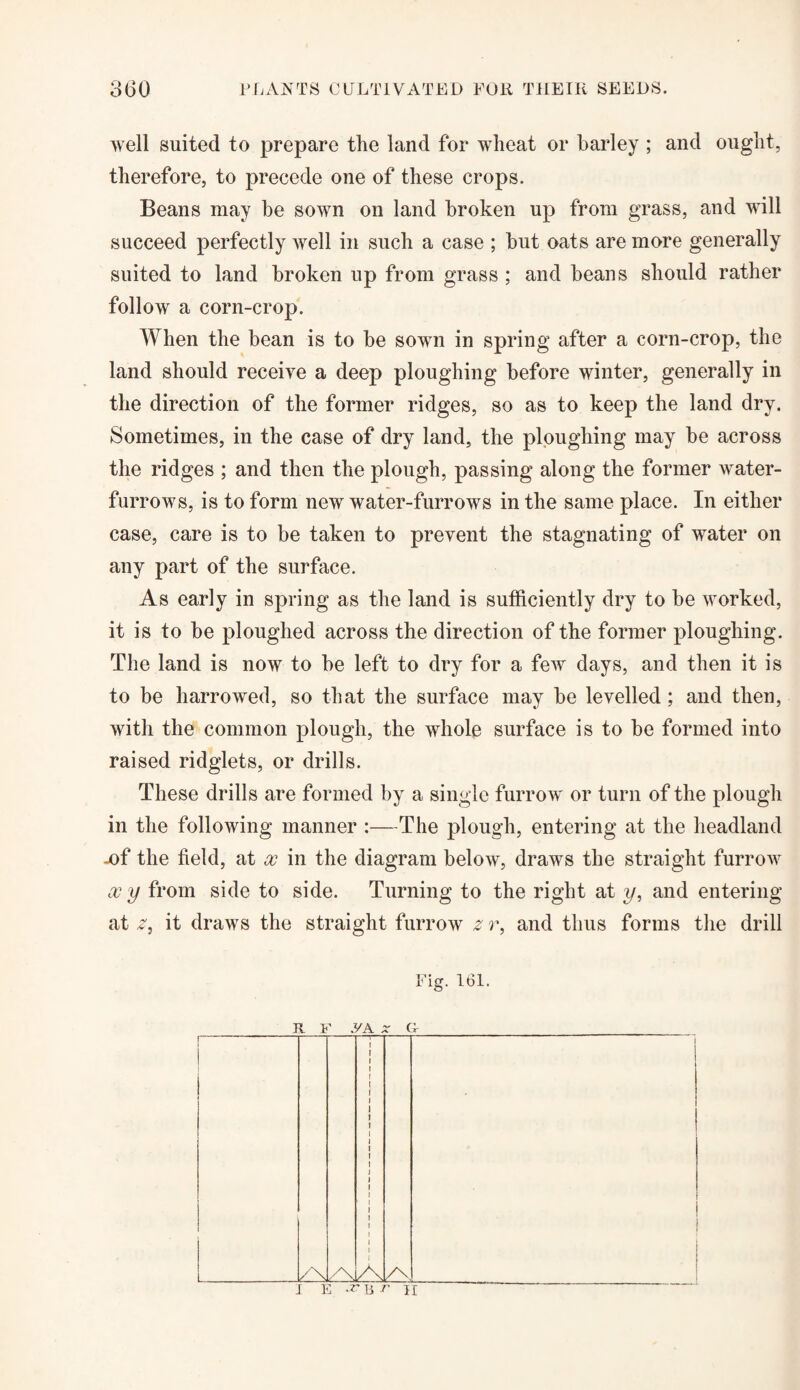 well suited to prepare tlie land for wheat or barley ; and ought, therefore, to precede one of these crops. Beans may be sown on land broken up from grass, and will succeed perfectly well in such a case ; but oats are more generally suited to land broken up from grass ; and beans should rather follow a corn-crop. When the bean is to be sown in spring after a corn-crop, the land should receive a deep ploughing before winter, generally in the direction of the former ridges, so as to keep the land dry. Sometimes, in the case of dry land, the ploughing may be across the ridges ; and then the plough, passing along the former water- furrows, is to form new water-furrows in the same place. In either case, care is to be taken to prevent the stagnating of water on any part of the surface. As early in spring as the land is sufficiently dry to be worked, it is to be ploughed across the direction of the former ploughing. The land is now to be left to dry for a few days, and then it is to be harrowed, so that the surface may be levelled; and then, with the common plough, the whole surface is to be formed into raised ridglets, or drills. These drills are formed by a single furrow or turn of the plough in the following manner :—The plough, entering at the headland -of the field, at x in the diagram below, draws the straight furrow x y from side to side. Turning to the right at y, and entering at z, it draws the straight furrow z r, and thus forms the drill Fig. 161.