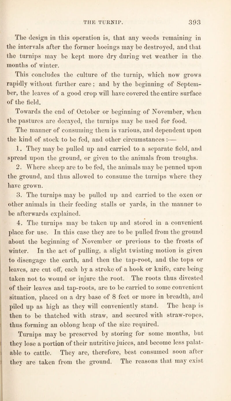 The design in this operation is, that any weeds remaining in the intervals after the former hoeings may he destroyed, and that the turnips may he kept more dry during wet weather in the months of winter. This concludes the culture of the turnip, which now grows rapidly without further care; and by the beginning of Septem¬ ber, the leaves of a good crop will have covered the entire surface of the field. Towards the end of October or beginning of November, when the pastures are decayed, the turnips may be used for food. The manner of consuming them is various, and dependent upon the kind of stock to be fed, and other circumstances :— 1. They may be pulled up and carried to a separate field, and spread upon the ground, or given to the animals from troughs. 2. Where sheep are to be fed, the animals may be penned upon the ground, and thus allowed to consume the turnips where they have grown. 3. The turnips may be pulled up and carried to the oxen or other animals in their feeding stalls or yards, in the manner to be afterwards explained. * 4. The turnips may be taken up and stored in a convenient place for use. In this case they are to be pulled from the ground about the beginning of November or previous to the frosts of winter. In the act of pulling, a slight twisting motion is given to disengage the earth, and then the tap-root, and the tops or leaves, are cut off, each by a stroke of a hook or knife, care being taken not to wound or injure the root. The roots thus divested of their leaves and tap-roots, are to be carried to some convenient situation, placed on a dry base of 8 feet or more in breadth, and piled up as high as they will conveniently stand. The heap is then to be thatched with straw, and secured with straw-ropes, thus forming an oblong heap of the size required. Turnips may be preserved by storing for some months, but they lose a portion of their nutritive juices, and become less palat¬ able to cattle. They are, therefore, best consumed soon after they are taken from the ground. The reasons that may exist