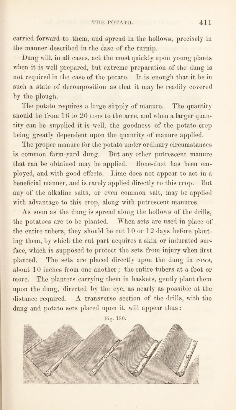 carried forward to them, and spread in the hollows, precisely in the manner described in the case of the turnip. Dung will, in all cases, act the most quickly upon young plants when it is Avell prepared, hut extreme preparation of the dung is not required in the case of the potato. It is enough that it be in such a state of decomposition as that it may be readily covered by the plough. The potato requires a large supply of manure. The quantity should he from 16 to 20 tons to the acre, and when a larger quan¬ tity can he supplied it is well, the goodness of the potato-crop being greatly dependent upon the quantity of manure applied. The proper manure for the potato under ordinary circumstances is common farm-yard dung. But any other putrescent manure that can he obtained may he applied. Bone-dust has been em¬ ployed, and with good effects. lame does not appear to act in a beneficial manner, and is rarely applied directly to this crop. But any of the alkaline salts, or even common salt, may be applied with advantage to this crop, along with putrescent manures. As soon as the dung is spread along the hollows of the drills, the potatoes are to be planted. When sets are used in place of the entire tubers, they should be cut 10 or 12 days before plant¬ ing them, by which the cut part acquires a skin or indurated sur¬ face, which is supposed to protect the sets from injury when first planted. The sets are placed directly upon the dung in rows, about 10 inches from one another; the entire tubers at a foot or more. The planters carrying them in baskets, gently plant them upon the dung, directed by the eye, as nearly as possible at the distance required. A transverse section of the drills, with the dung and potato sets placed upon it, will appear thus :