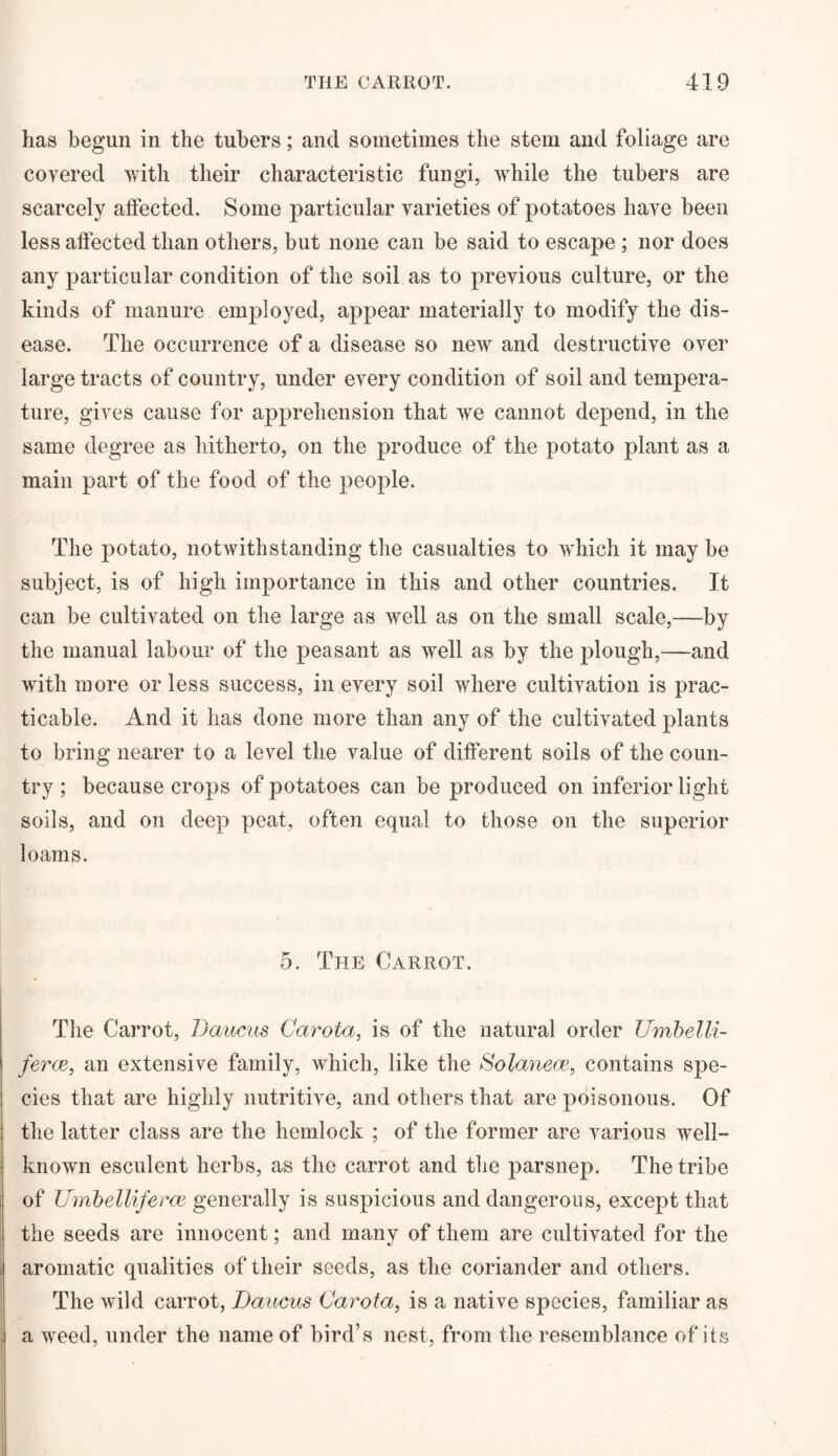 has begun in the tubers; and sometimes the stem and foliage are covered with their characteristic fungi, while the tubers are scarcely affected. Some particular varieties of potatoes have been less affected than others, hut none can be said to escape ; nor does any particular condition of the soil as to previous culture, or the kinds of manure employed, appear materially to modify the dis¬ ease. The occurrence of a disease so new and destructive over large tracts of country, under every condition of soil and tempera¬ ture, gives cause for apprehension that we cannot depend, in the same degree as hitherto, on the produce of the potato plant as a main part of the food of the people. The potato, notwithstanding the casualties to which it may be subject, is of high importance in this and other countries. It can be cultivated on the large as well as on the small scale,—by the manual labour of the peasant as well as by the plough,—and with more or less success, in every soil where cultivation is prac¬ ticable. And it has done more than any of the cultivated plants to bring nearer to a level the value of different soils of the coun¬ try ; because crops of potatoes can be produced on inferior light soils, and on deep peat, often equal to those on the superior loams. 5. The Carrot. The Carrot, Daucus Carota, is of the natural order Umbelli- ferce, an extensive family, which, like the Solanece, contains spe¬ cies that are highly nutritive, and others that are poisonous. Of the latter class are the hemlock ; of the former are various well- known esculent herbs, as the carrot and the parsnep. The tribe of Umbelliferce generally is suspicious and dangerous, except that the seeds are innocent; and many of them are cultivated for the aromatic qualities of their seeds, as the coriander and others. The wild carrot, Daucus Carota, is a native species, familiar as a weed, under the name of bird’s nest, from the resemblance of its