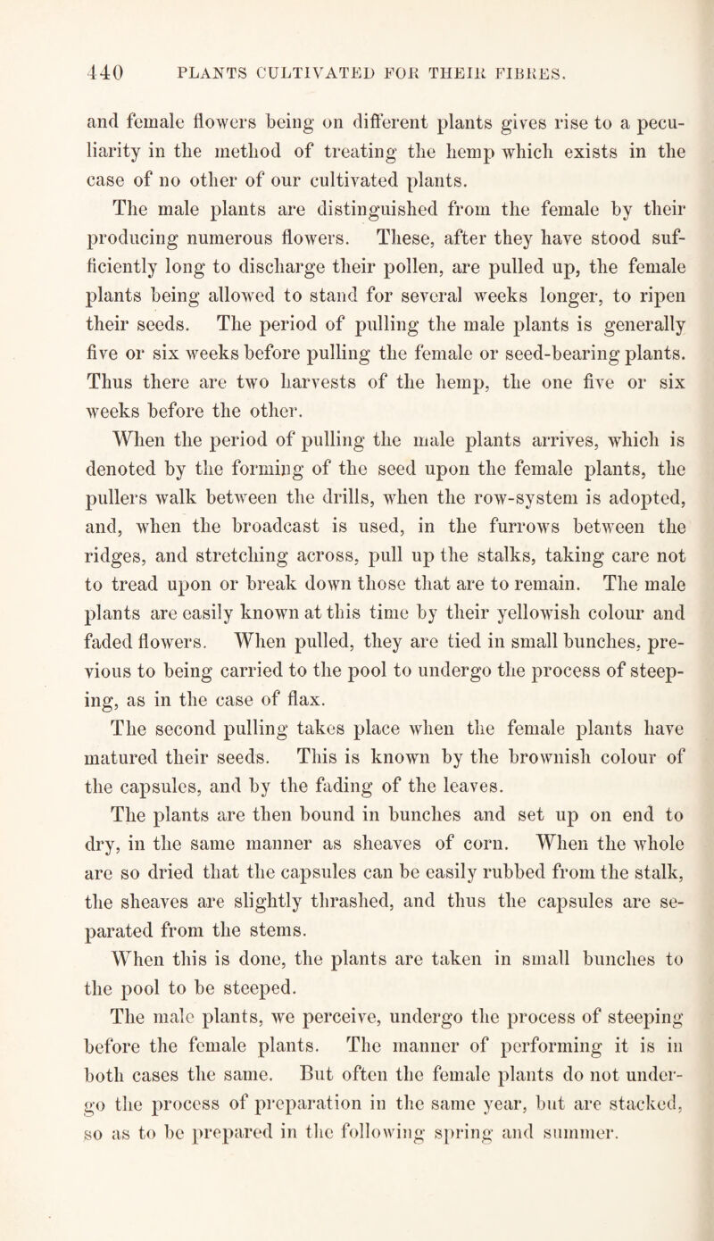 and female flowers being on different plants gives rise to a pecu¬ liarity in the method of treating the hemp which exists in the case of no other of our cultivated plants. The male plants are distinguished from the female by their producing numerous flowers. These, after they have stood suf¬ ficiently long to discharge their pollen, are pulled up, the female plants being allowed to stand for several weeks longer, to ripen their seeds. The period of pulling the male plants is generally five or six weeks before pulling the female or seed-bearing plants. Thus there are two harvests of the hemp, the one five or six weeks before the other. When the period of pulling the male plants arrives, which is denoted by the forming of the seed upon the female plants, the pullers walk between the drills, when the row-system is adopted, and, when the broadcast is used, in the furrows between the ridges, and stretching across, pull up the stalks, taking care not to tread upon or break down those that are to remain. The male plants are easily known at this time by their yellowish colour and faded flowers. When pulled, they are tied in small bunches, pre¬ vious to being carried to the pool to undergo the process of steep¬ ing, as in the case of flax. The second pulling takes place when the female plants have matured their seeds. This is known by the brownish colour of the capsules, and by the fading of the leaves. The plants are then bound in bunches and set up on end to dry, in the same manner as sheaves of corn. When the whole are so dried that the capsules can be easily rubbed from the stalk, the sheaves are slightly thrashed, and thus the capsules are se¬ parated from the stems. When this is done, the plants are taken in small bunches to the pool to be steeped. The male plants, we perceive, undergo the process of steeping before the female plants. The manner of performing it is in both cases the same. But often the female plants do not under¬ go the process of preparation in the same year, but are stacked, so as to be prepared in the following spring and summer.