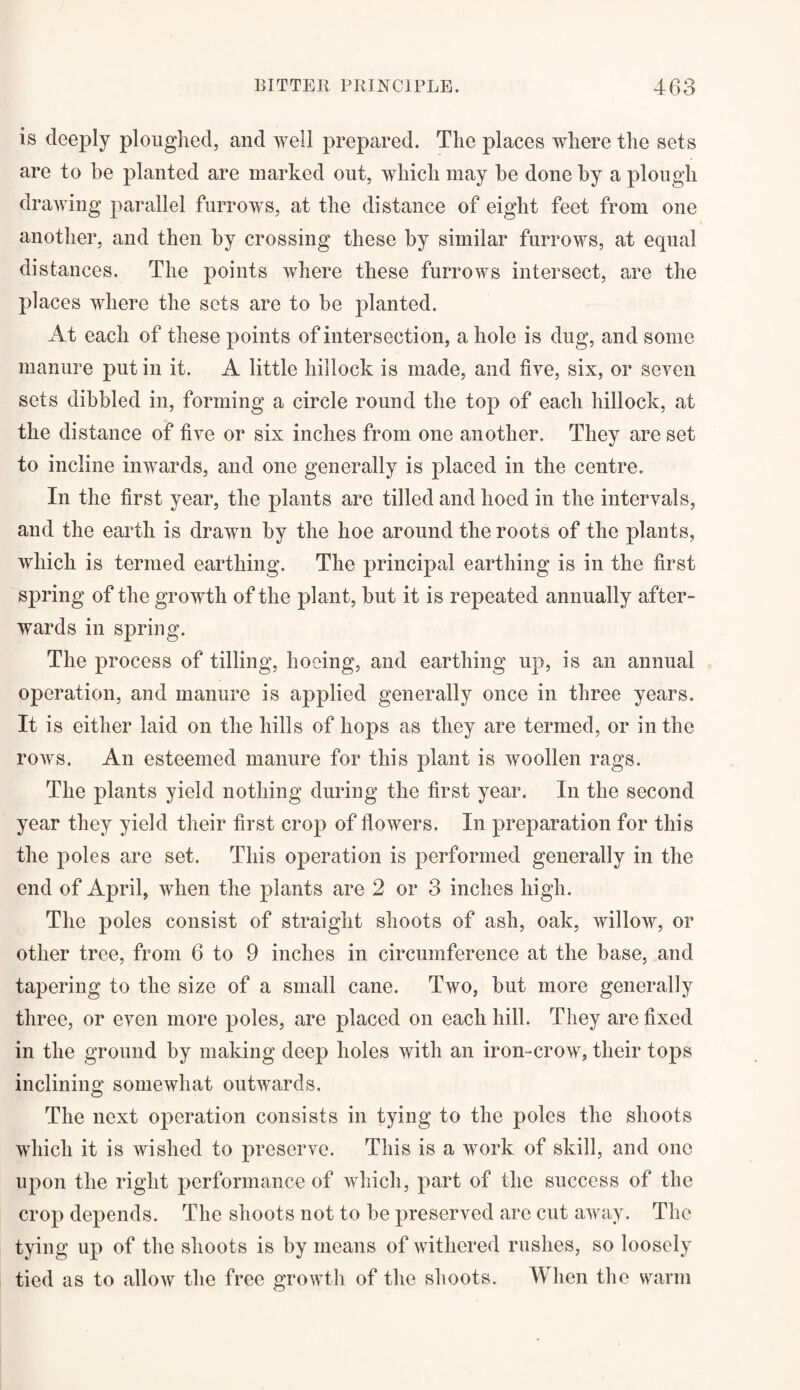 is deeply ploughed, and well prepared. The places where the sets are to he planted are marked out, which may be done by a plough drawing parallel furrows, at the distance of eight feet from one another, and then by crossing these by similar furrows, at equal distances. The points where these furrows intersect, are the places where the sets are to be planted. At each of these points of intersection, a hole is dug, and some manure put in it. A little hillock is made, and five, six, or seven sets dibbled in, forming a circle round the top of each hillock, at the distance of five or six inches from one another. They are set to incline inwards, and one generally is placed in the centre. In the first year, the plants are tilled and hoed in the intervals, and the earth is drawn by the hoe around the roots of the plants, which is termed earthing. The principal earthing is in the first spring of the growth of the plant, but it is repeated annually after¬ wards in spring. The process of tilling, hoeing, and earthing up, is an annual operation, and manure is applied generally once in three years. It is either laid on the hills of hops as they are termed, or in the rows. An esteemed manure for this plant is woollen rags. The plants yield nothing during the first year. In the second year they yield their first crop of flowers. In preparation for this the poles are set. This operation is performed generally in the end of April, when the plants are 2 or 3 inches high. The poles consist of straight shoots of ash, oak, willow, or other tree, from 6 to 9 inches in circumference at the base, and tapering to the size of a small cane. Two, but more generally three, or even more poles, are placed on each hill. They are fixed in the ground by making deep holes with an iron-crow, their tops inclining somewhat outwards. The next operation consists in tying to the poles the shoots which it is wished to preserve. This is a work of skill, and one upon the right performance of which, part of the success of the crop depends. The shoots not to be preserved arc cut away. The tying up of the shoots is by means of withered rushes, so loosely tied as to allow the free growth of the shoots. When the warm