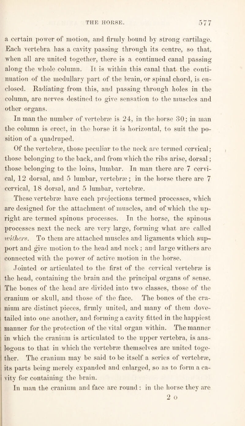 (-O’ Ur a certain power of motion, and firmly hound by strong cartilage. Each vertebra has a cavity passing through its centre, so that, when all are united together, there is a continued canal passing along the whole column. It is within this canal that the conti¬ nuation of the medullary part of the brain, or spinal chord, is en¬ closed. Radiating from this, and passing through holes in the column, are nerves destined to give sensation to the muscles and other organs. In man the number of vertebrae is 24, in the horse 30; in man the column is erect, in the horse it is horizontal, to suit the po¬ sition of a quadruped. Of the vertebrae, those peculiar to the neck are termed cervical; those belonging to the back, and from which the ribs arise, dorsal; those belonging to the loins, lumbar. In man there are 7 cervi¬ cal, 12 dorsal, and 5 lumbar, vertebrae; in the horse there are 7 cervical, 18 dorsal, and 5 lumbar, vertebrae. These vertebrae have each projections termed processes, which are designed for the attachment of muscles, and of which the up¬ right are termed spinous processes. In the horse, the spinous processes next the neck are very large, forming what are called withers. To them are attached muscles and ligaments which sup¬ port and give motion to the head and neck ; and large withers are connected with the power of active motion in the horse. Jointed or articulated to the first of the cervical vertebrae is the head, containing the brain and the principal organs of sense. The bones of the head are divided into two classes, those of the cranium or skull, and those of the face. The bones of the era- i ilium are distinct pieces, firmly united, and many of them dove- ! tailed into one another, and forming a cavity fitted in the happiest manner for the protection of the vital organ within. The manner in which the cranium is articulated to the upper vertebra, is ana- logous to that in which the vertebrae themselves are united toge¬ ther. The cranium may be said to be itself a series of vertebrae, its parts being merely expanded and enlarged, so as to form a ca¬ vity for containing the brain. In man the cranium and face are round : in the horse they are 2 o