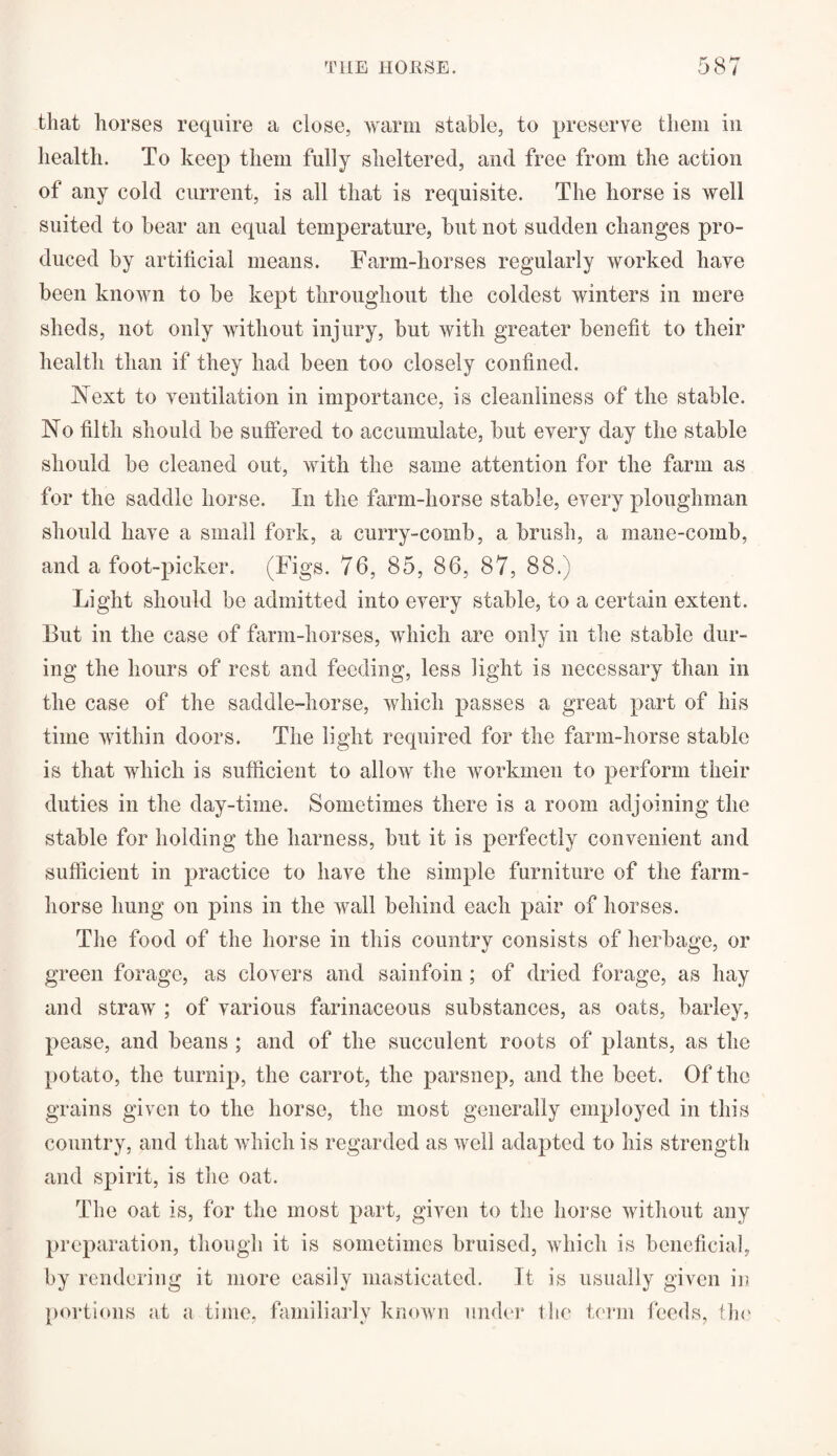 that horses require a close, warm stable, to preserve them in health. To keep them fully sheltered, and free from the action of any cold current, is all that is requisite. The horse is well suited to bear an equal temperature, but not sudden changes pro¬ duced by artificial means. Farm-horses regularly worked have been known to be kept throughout the coldest winters in mere sheds, not only without injury, but with greater benefit to their health than if they had been too closely confined. Next to ventilation in importance, is cleanliness of the stable. No filth should be suffered to accumulate, but every day the stable should be cleaned out, with the same attention for the farm as for the saddle horse. In the farm-horse stable, every ploughman should have a small fork, a curry-comb, a brush, a mane-comb, and afoot-picker. (Figs. 76, 85, 86, 87, 88.) Light should be admitted into every stable, to a certain extent. But in the case of farm-horses, which are only in the stable dur¬ ing the hours of rest and feeding, less light is necessary than in the case of the saddle-horse, which passes a great part of his time within doors. The light required for the farm-horse stable is that which is sufficient to allow the workmen to perform their duties in the day-time. Sometimes there is a room adjoining the stable for holding the harness, but it is perfectly convenient and sufficient in practice to have the simple furniture of the farm- horse hung on pins in the wall behind each pair of horses. The food of the horse in this country consists of herbage, or green forage, as clovers and sainfoin ; of dried forage, as hay and straw ; of various farinaceous substances, as oats, barley, pease, and beans ; and of the succulent roots of plants, as the potato, the turnip, the carrot, the parsnep, and the beet. Of the grains given to the horse, the most generally employed in this country, and that which is regarded as well adapted to his strength and spirit, is the oat. The oat is, for the most part, given to the horse without any preparation, though it is sometimes bruised, which is beneficial, by rendering it more easily masticated. It is usually given in portions at a time, familiarly known under the term feeds, the