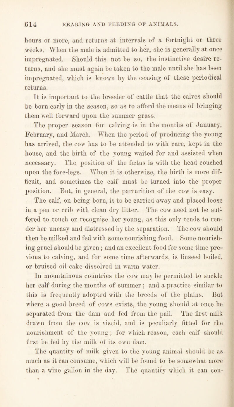 hours or more, and returns at intervals of a fortnight or three weeks. When the male is admitted to her, she is generally at once impregnated. Should this not he so, the instinctive desire re¬ turns, and she must again be taken to the male until she has been impregnated, which is known by the ceasing of these periodical returns. It is important to the breeder of cattle that the calves should be born early in the season, so as to afford the means of bringing them well forward upon the summer grass. The proper season for calving is in the months of January, February, and March. When the period of producing the young has arrived, the cow has to be attended to with care, kept in the house, and the birth of the young waited for and assisted when necessary. The position of the foetus is with the head couched upon the fore-legs. When it is otherwise, the birth is more dif¬ ficult, and sometimes the calf must be turned into the proper position. But, in general, the parturition of the cow is easy. The calf, on being born, is to be carried away and placed loose in a pen or crib with clean dry litter. The cow need not be suf¬ fered to touch or recognise her young, as this only tends to ren¬ der her uneasy and distressed by the separation. The cow should then be milked and fed with some nourishing food. Some nourish¬ ing gruel should be given ; and an excellent food for some time pre¬ vious to calving, and for some time afterwards, is linseed boiled, or bruised oil-cake dissolved in warm water. In mountainous countries the cow may be permitted to suckle her calf during the months of summer ; and a practice similar to this is frequently adopted with the breeds of the plains. But where a good breed of cowrs exists, the young should at once be separated from the dam and fed from the pail. The first milk drawn from the cow is viscid, and is peculiarly fitted for the nourishment of the young; for which reason, each calf should first be fed by the milk of its own dam. The quantity of milk given to the young animal should be as much as it can consume, which will be found to be somewhat more than a wine gallon in the day. The quantity which it can con-