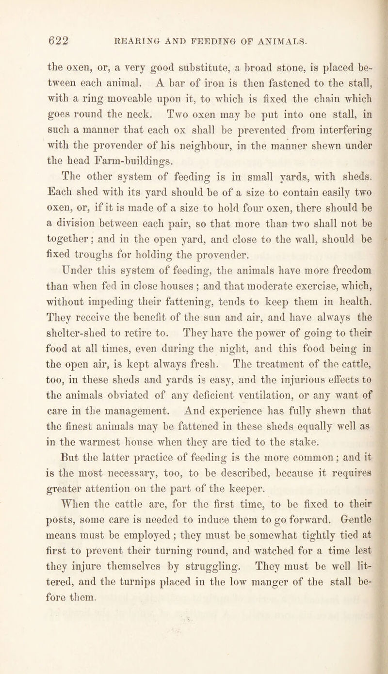 the oxen, or, a very good substitute, a broad stone, is placed be¬ tween each animal. A bar of iron is then fastened to the stall, with a ring moveable upon it, to which is fixed the chain which goes round the neck. Two oxen may be put into one stall, in such a manner that each ox shall be prevented from interfering with the provender of his neighbour, in the manner shewn under the head Farm-buildings. The other system of feeding is in small yards, with sheds. Each shed with its yard should be of a size to contain easily two oxen, or, if it is made of a size to hold four oxen, there should be a division between each pair, so that more than two shall not be together; and in the open yard, and close to the wall, should be fixed troughs for holding the provender. Under this system of feeding, the animals have more freedom than when fed in close houses ; and that moderate exercise, which, without impeding their fattening, tends to keep them in health. They receive the benefit of the sun and air, and have always the shelter-shed to retire to. They have the power of going to their food at all times, even during the night, and this food being in the open air, is kept always fresh. The treatment of the cattle, too, in these sheds and yards is easy, and the injurious effects to the animals obviated of any deficient ventilation, or any want of care in the management. And experience has fully shewn that the finest animals may be fattened in these sheds equally well as in the warmest house when they are tied to the stake. But the latter practice of feeding is the more common; and it is the most necessary, too, to be described, because it requires greater attention on the part of the keeper. When the cattle are, for the first time, to be fixed to their posts, some care is needed to induce them to go forward. Gentle means must be employed; they must be somewhat tightly tied at first to prevent their turning round, and watched for a time lest they injure themselves by struggling. They must be well lit¬ tered, and the turnips placed in the low manger of the stall be¬ fore them.